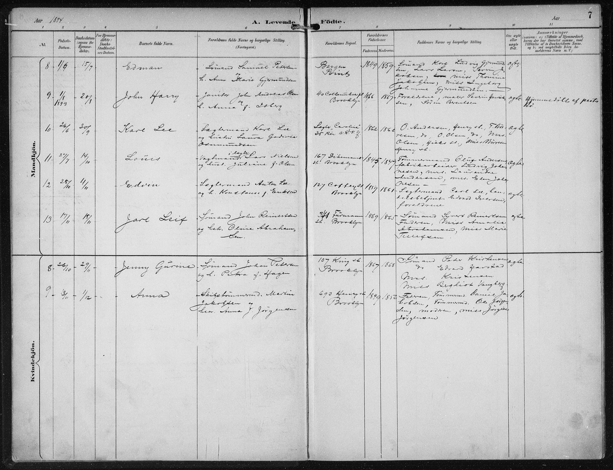 Den norske sjømannsmisjon i utlandet/New York, SAB/SAB/PA-0110/H/Ha/L0004: Parish register (official) no. A 4, 1893-1901, p. 7