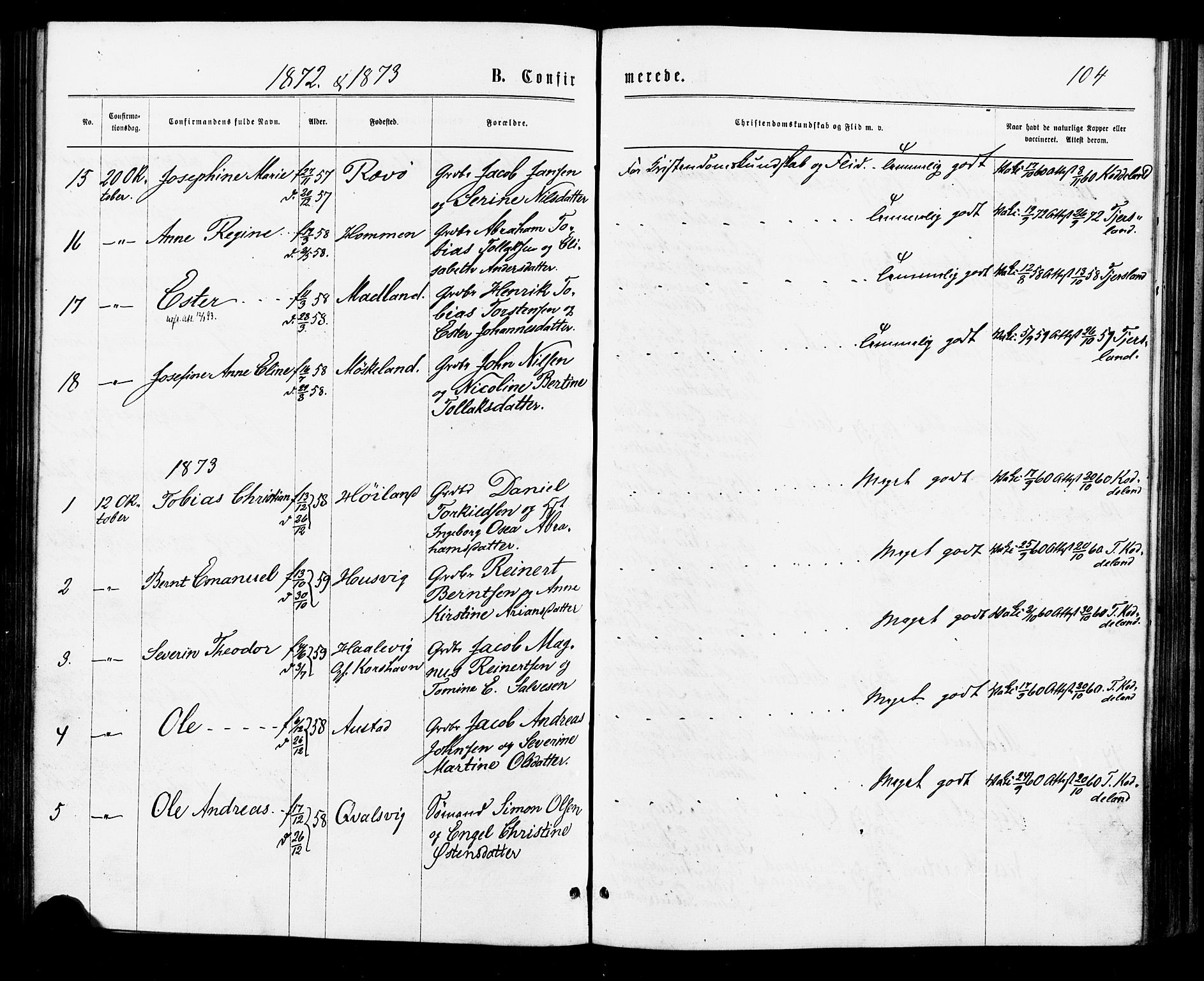 Lyngdal sokneprestkontor, AV/SAK-1111-0029/F/Fa/Faa/L0003: Parish register (official) no. A 3, 1871-1882, p. 104