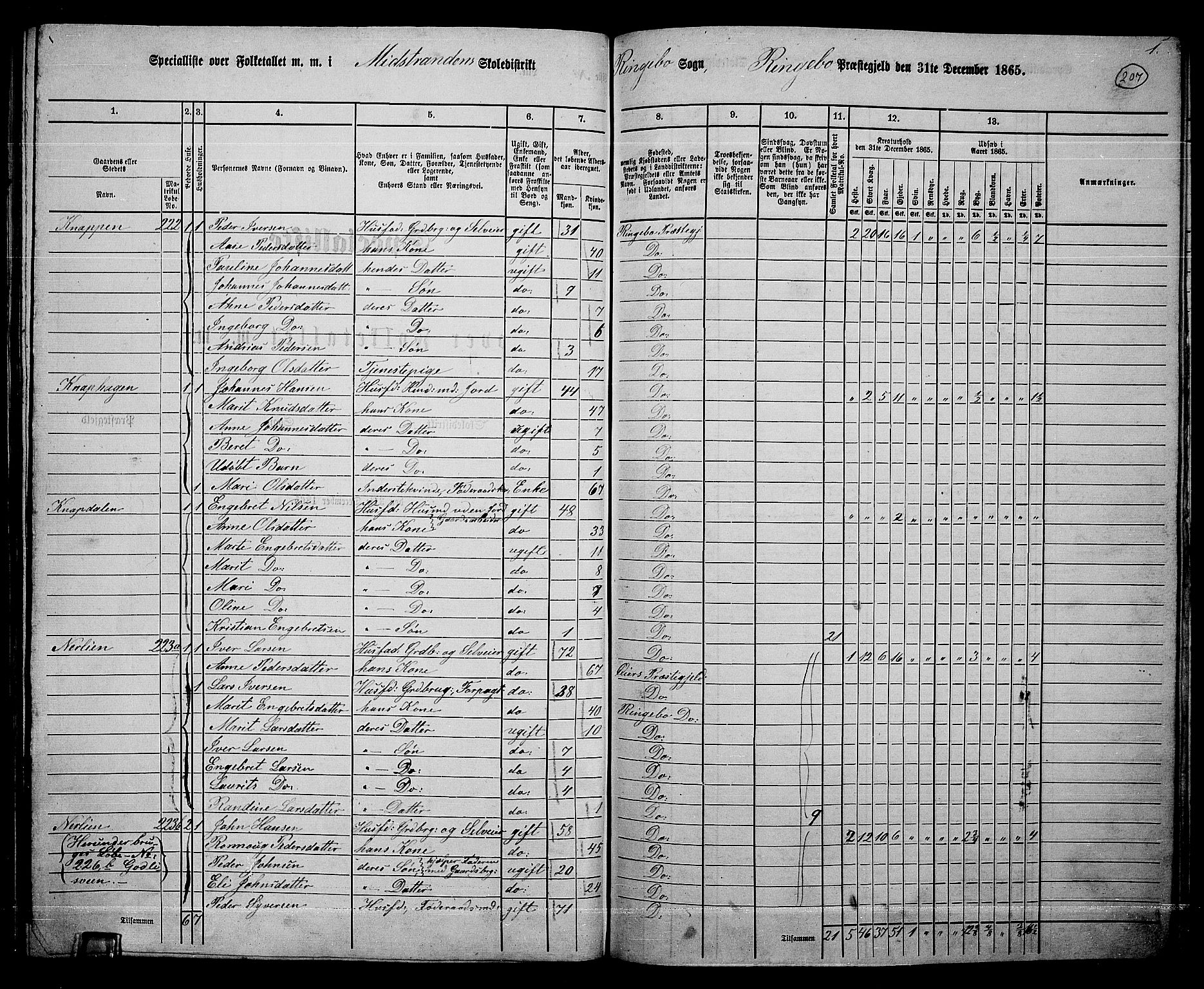 RA, 1865 census for Ringebu, 1865, p. 180