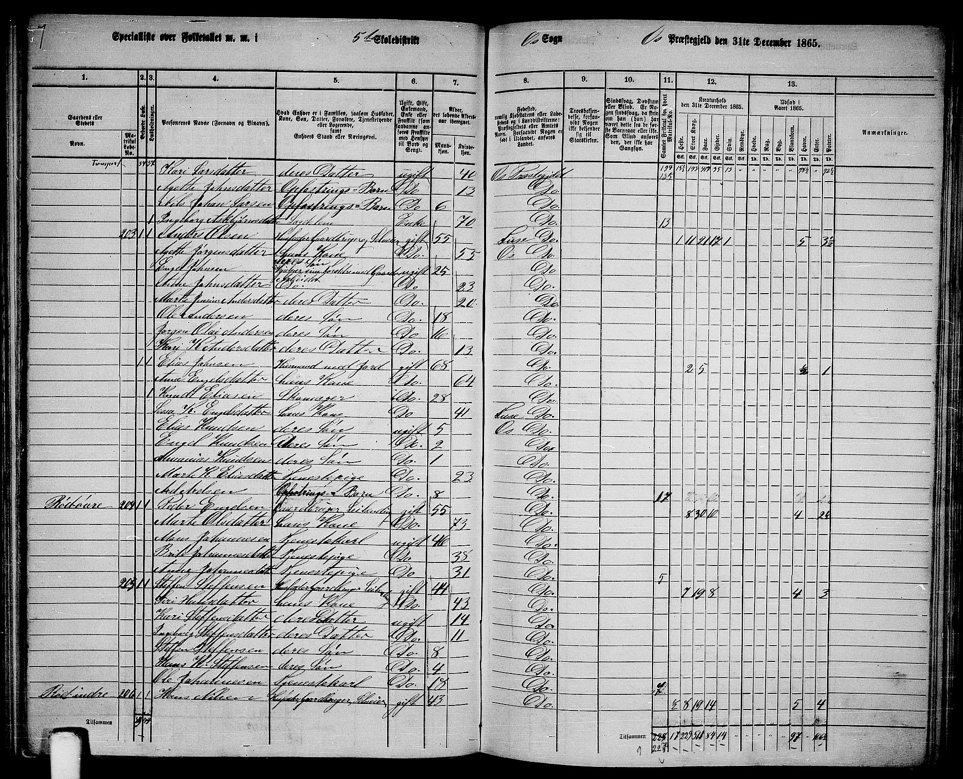 RA, 1865 census for Os, 1865, p. 93