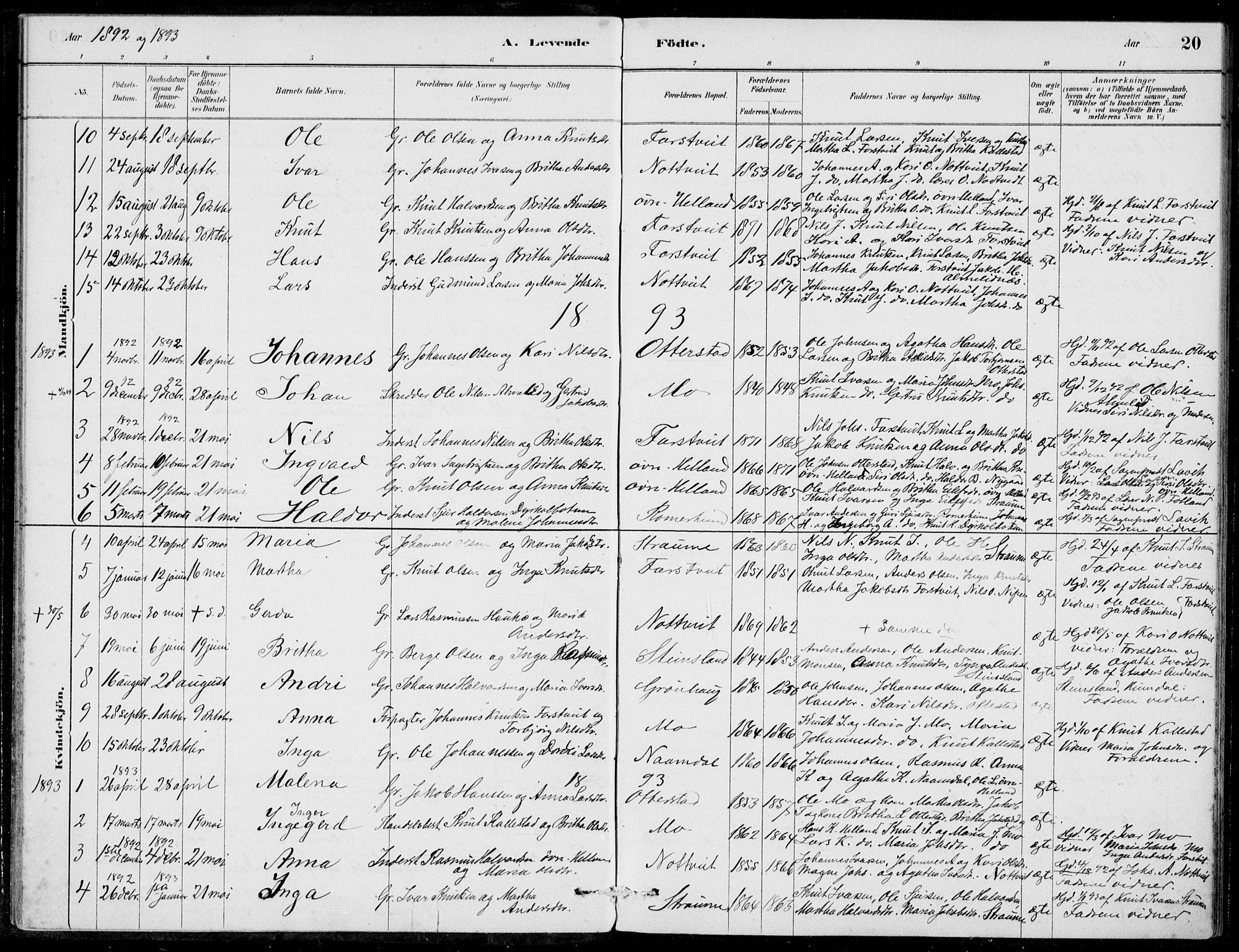 Hosanger sokneprestembete, SAB/A-75801/H/Haa: Parish register (official) no. C  1, 1880-1900, p. 20