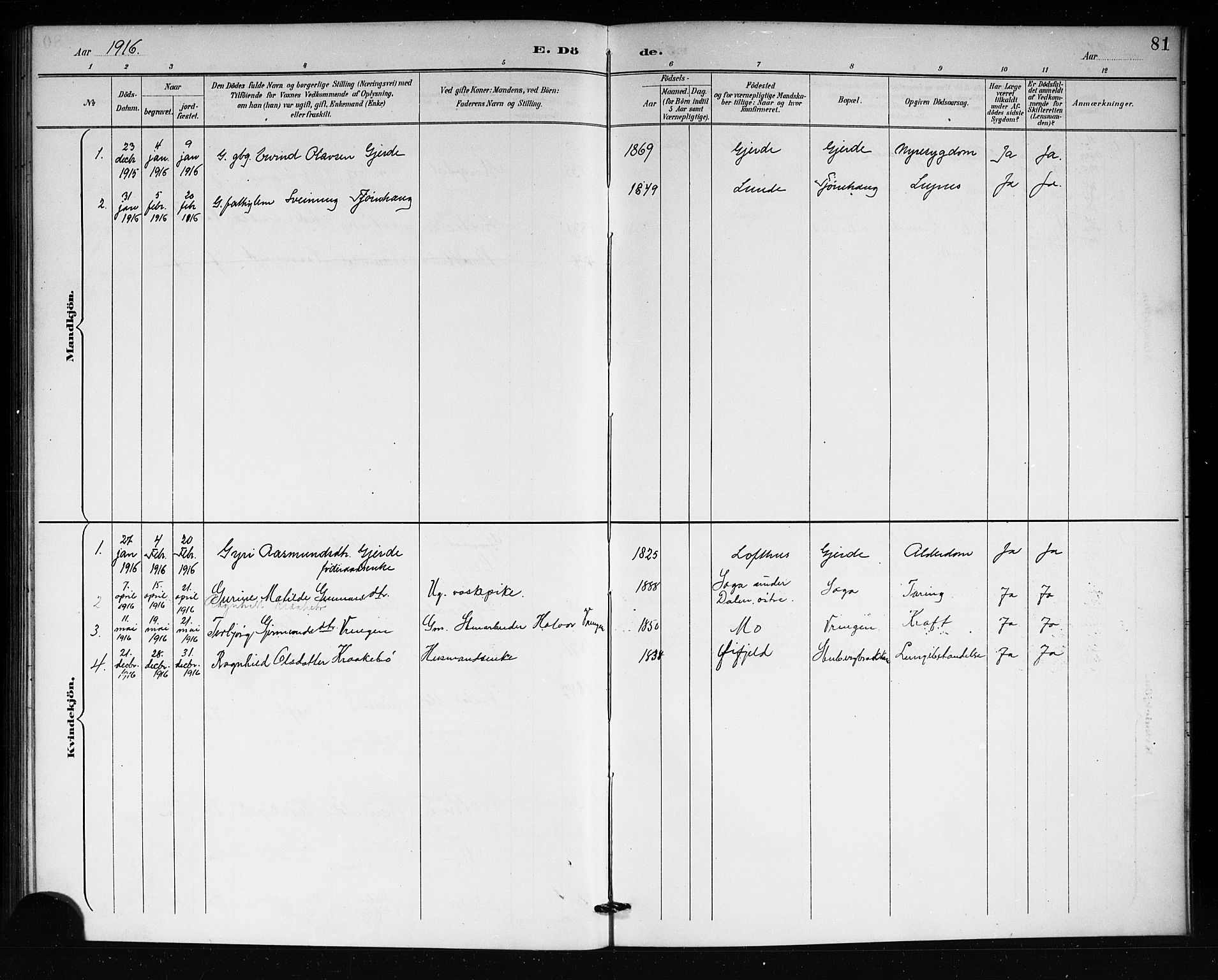 Lårdal kirkebøker, SAKO/A-284/G/Gb/L0003: Parish register (copy) no. II 3, 1889-1920, p. 81