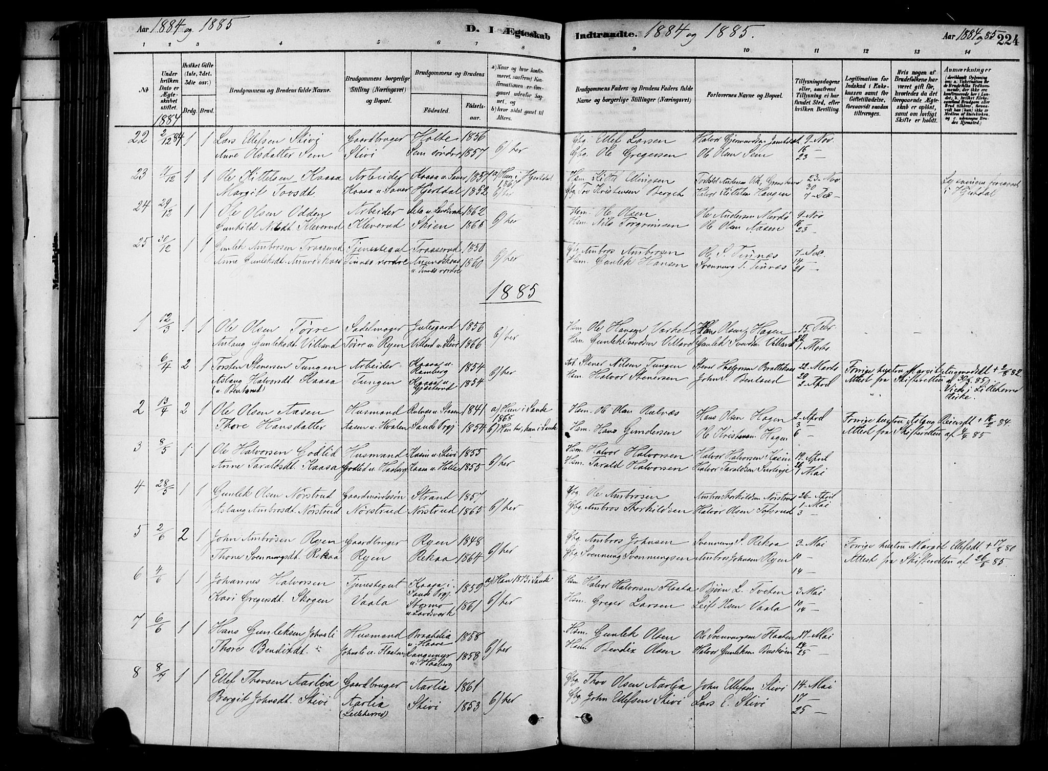 Heddal kirkebøker, SAKO/A-268/F/Fa/L0008: Parish register (official) no. I 8, 1878-1903, p. 224
