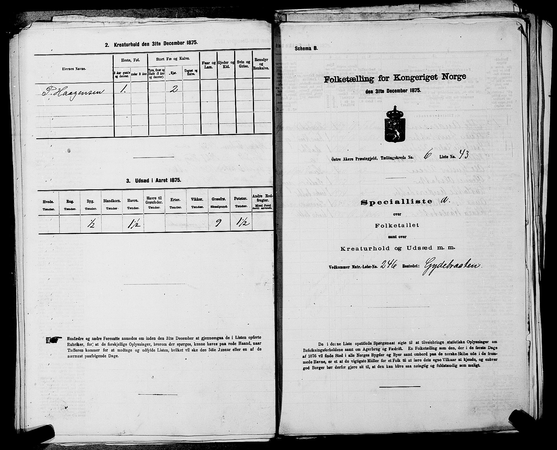 RA, 1875 census for 0218bP Østre Aker, 1875, p. 1612