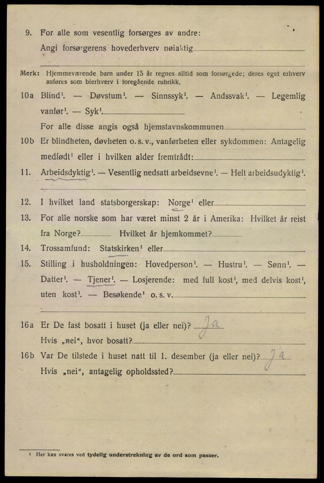 SAO, 1920 census for Nes, 1920, p. 21923