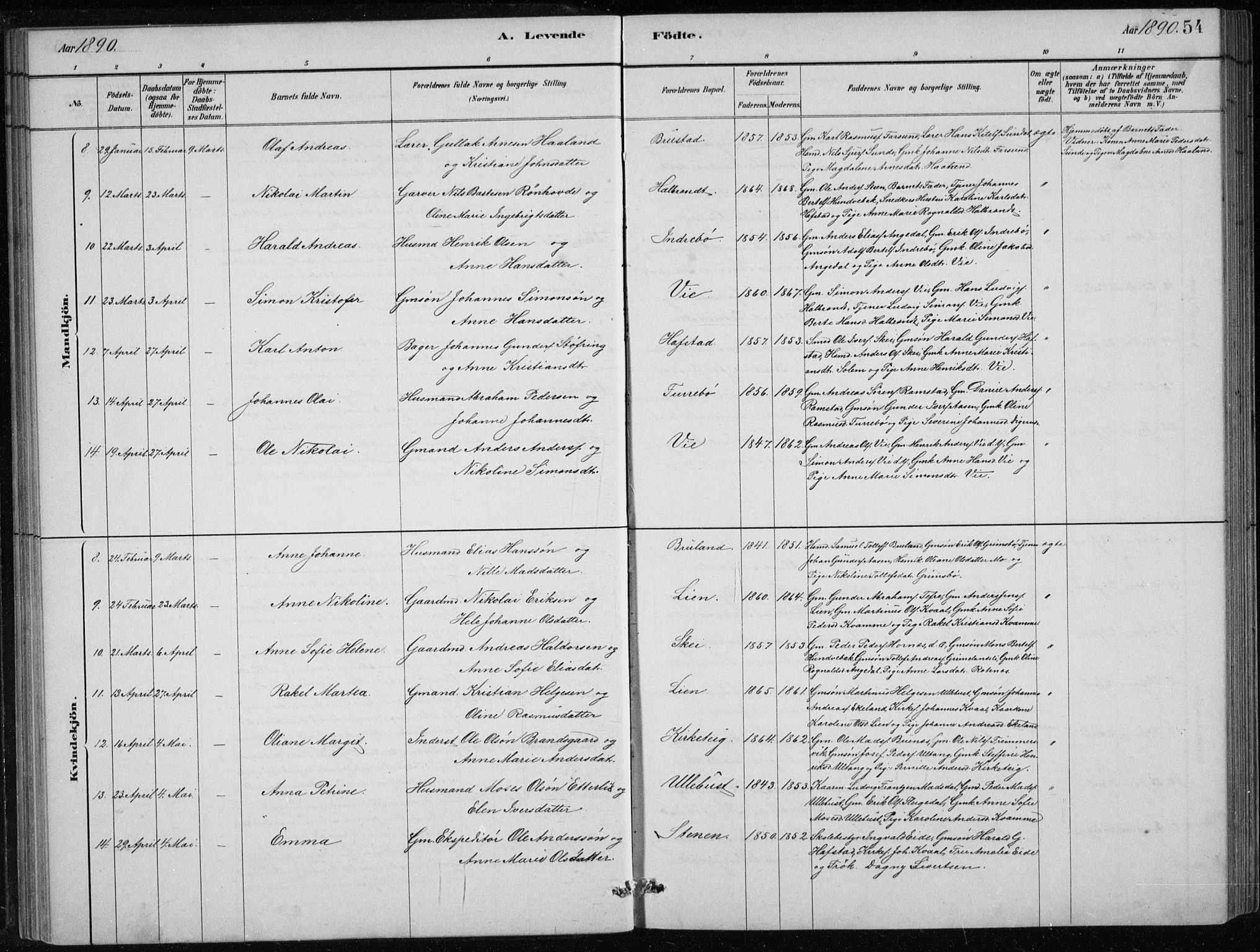 Førde sokneprestembete, AV/SAB-A-79901/H/Hab/Haba/L0002: Parish register (copy) no. A 2, 1881-1898, p. 54