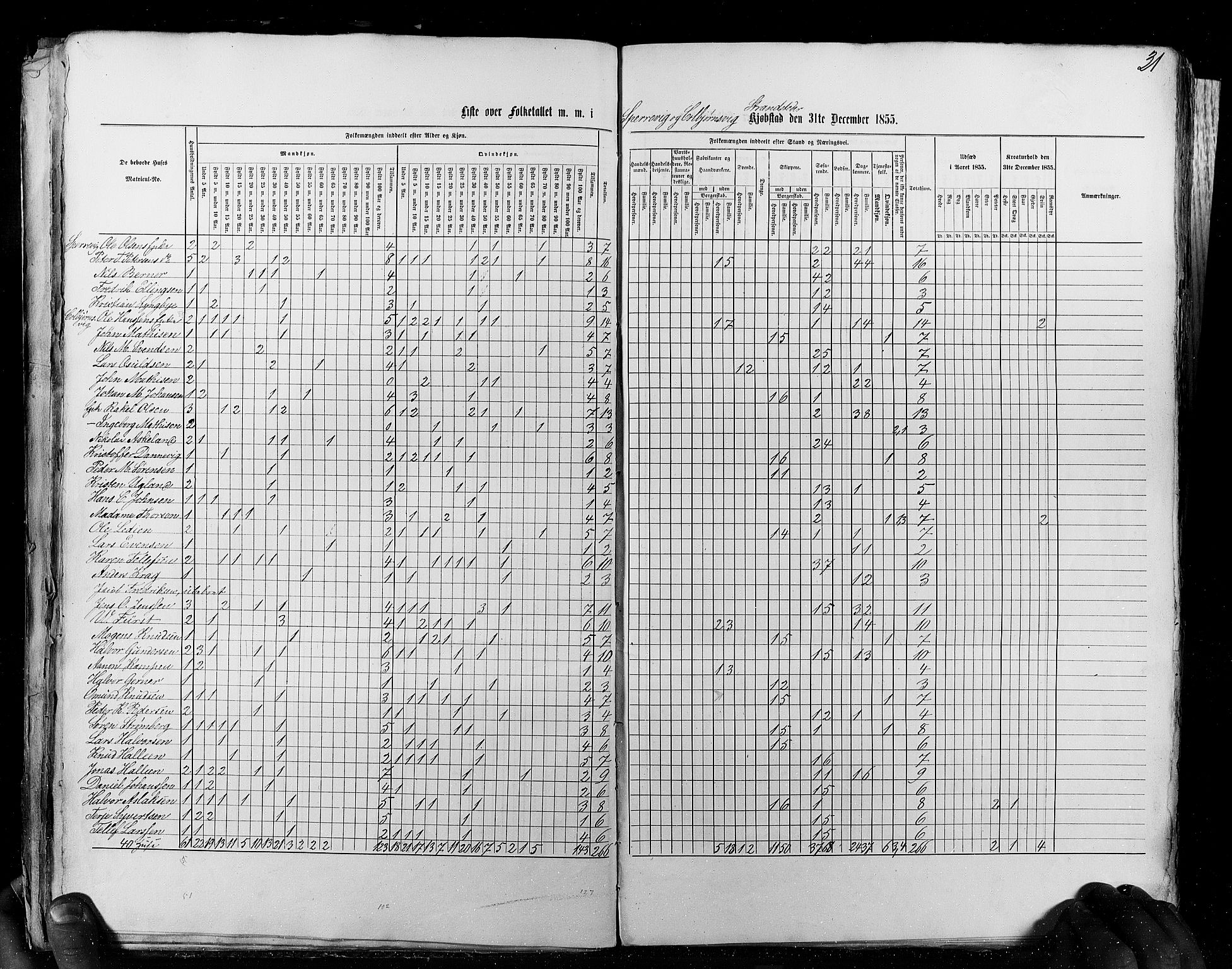 RA, Census 1855, vol. 8: Risør-Vadsø, 1855, p. 31