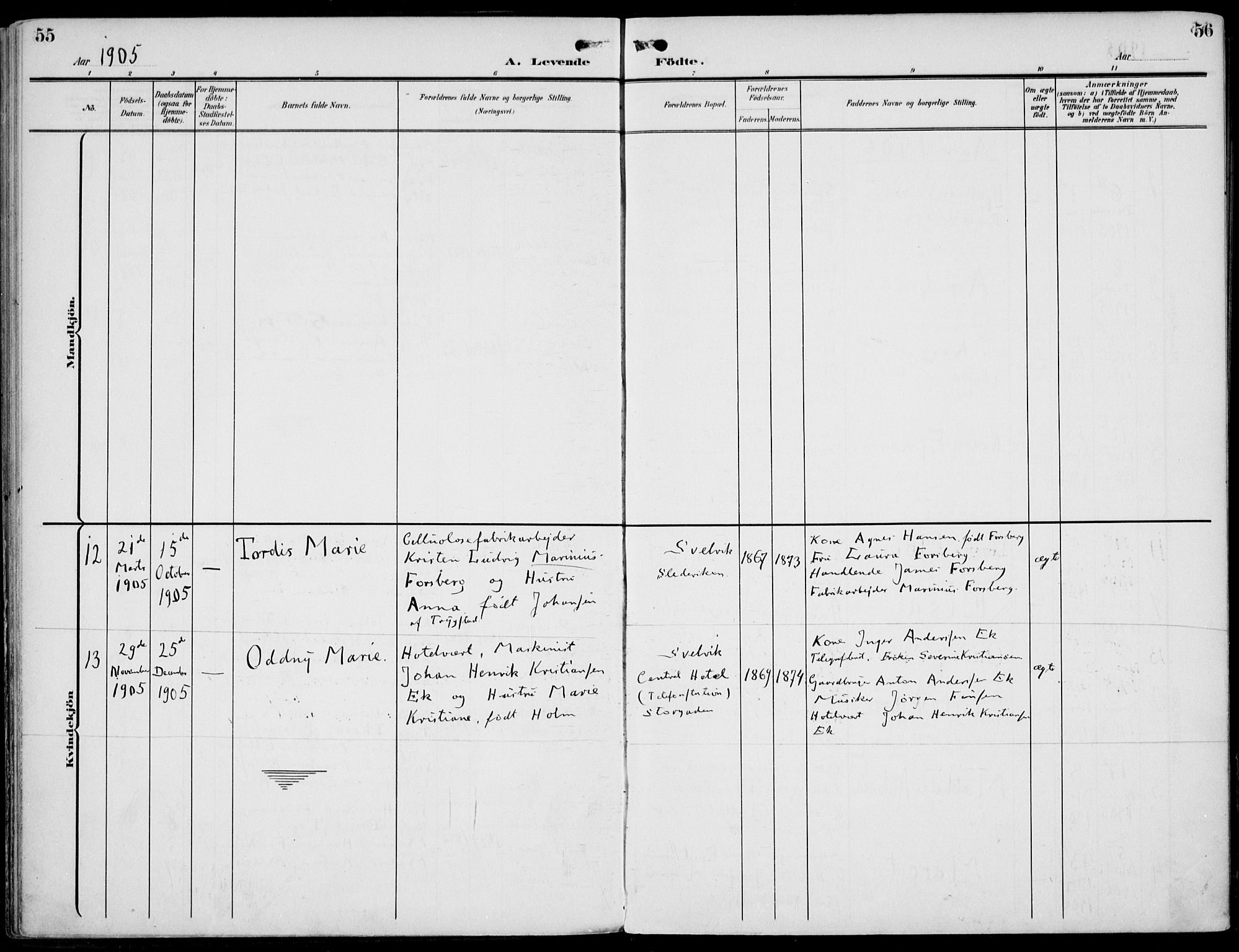 Strømm kirkebøker, AV/SAKO-A-322/F/Fb/L0002: Parish register (official) no. II 2, 1900-1919, p. 55-56