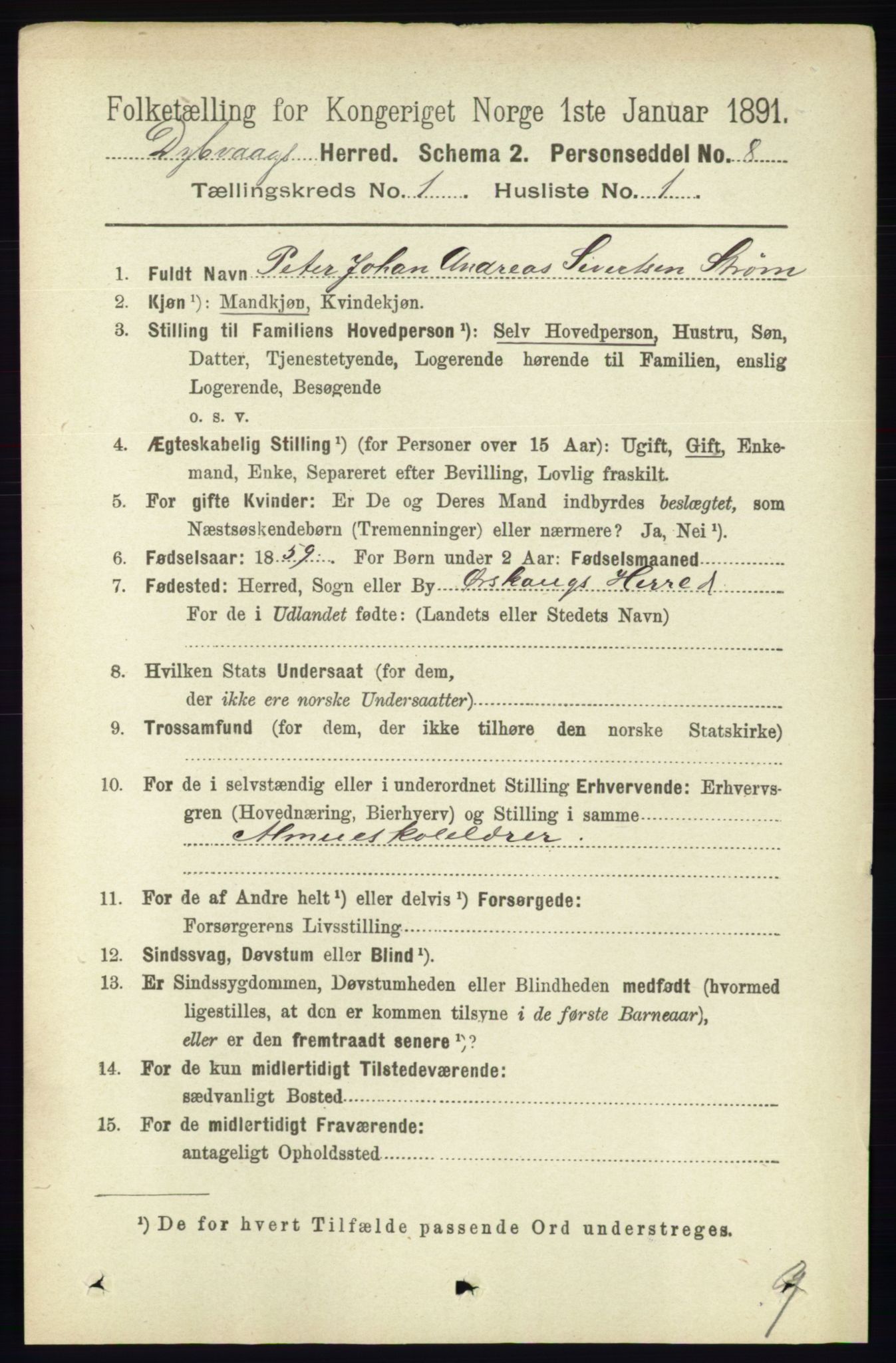 RA, 1891 census for 0915 Dypvåg, 1891, p. 113