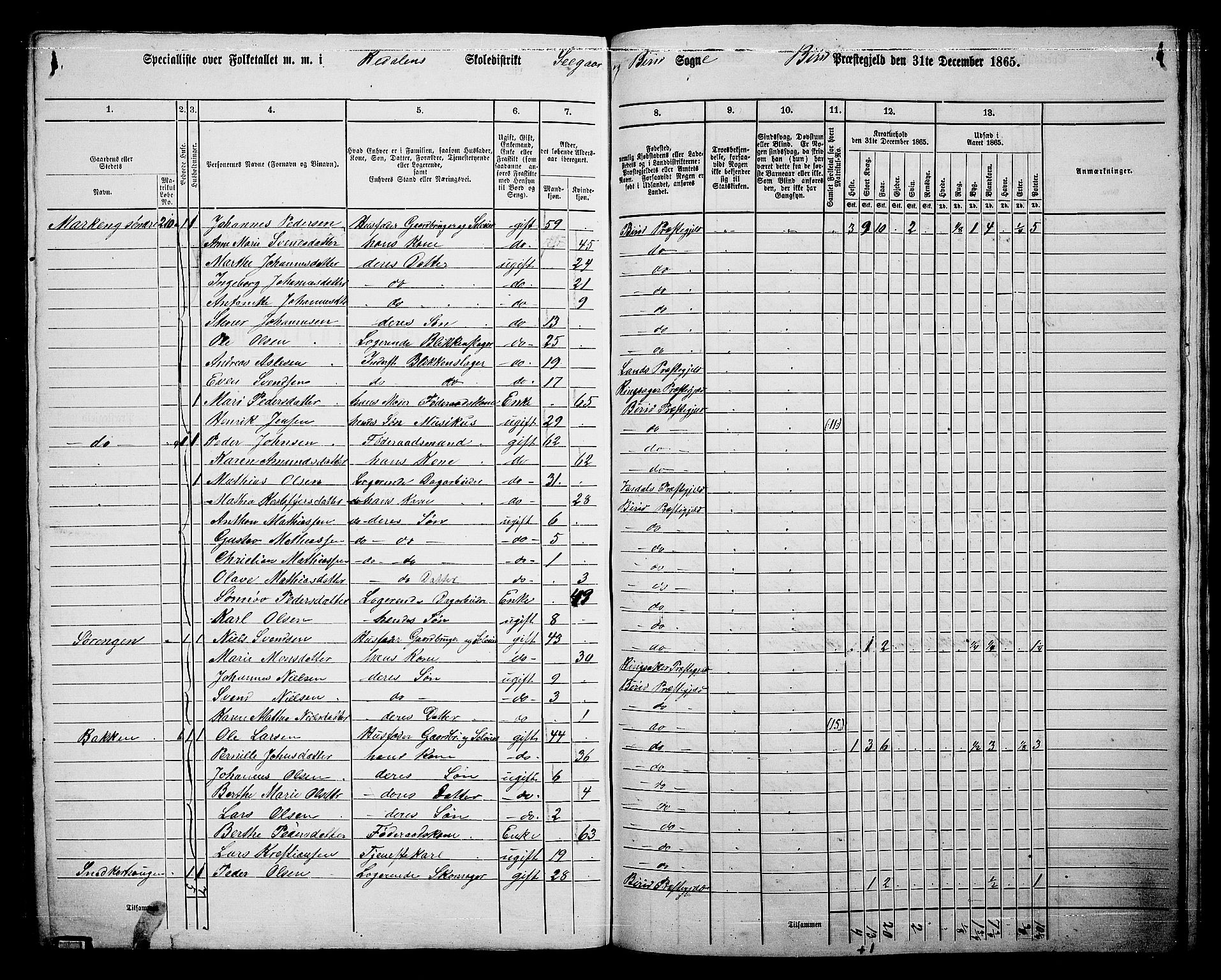 RA, 1865 census for Biri, 1865, p. 186