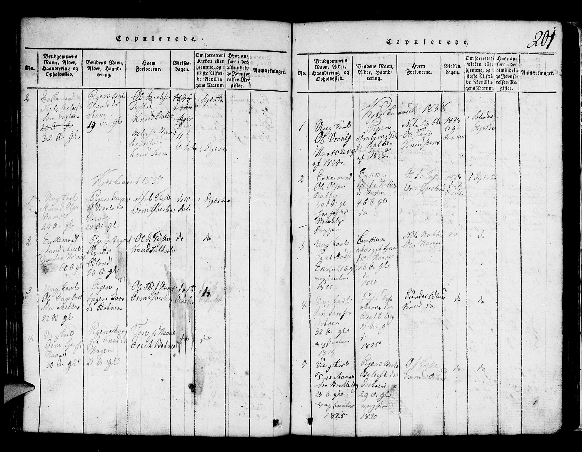 Røldal sokneprestembete, SAB/A-100247: Parish register (copy) no. A 1, 1817-1860, p. 201