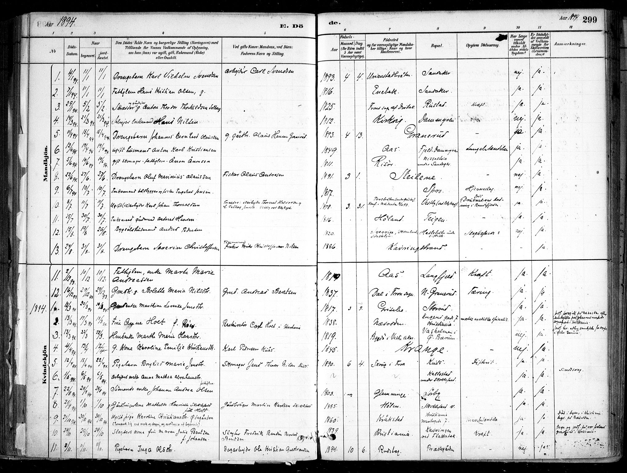 Nesodden prestekontor Kirkebøker, SAO/A-10013/F/Fa/L0009: Parish register (official) no. I 9, 1880-1915, p. 299