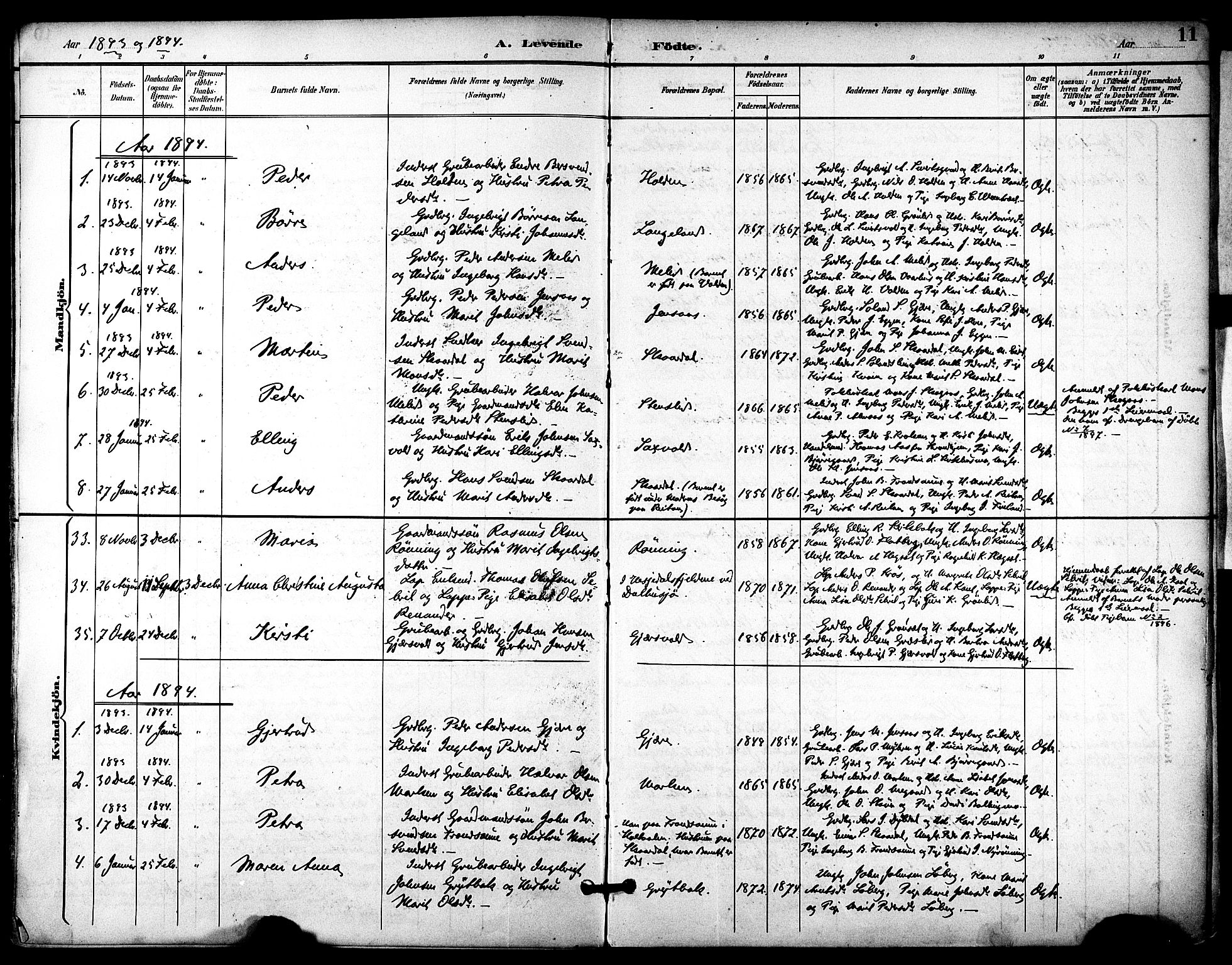 Ministerialprotokoller, klokkerbøker og fødselsregistre - Sør-Trøndelag, SAT/A-1456/686/L0984: Parish register (official) no. 686A02, 1891-1906, p. 11