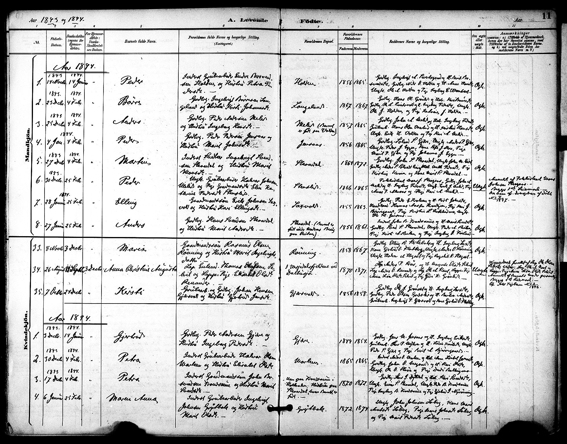 Ministerialprotokoller, klokkerbøker og fødselsregistre - Sør-Trøndelag, AV/SAT-A-1456/686/L0984: Parish register (official) no. 686A02, 1891-1906, p. 11