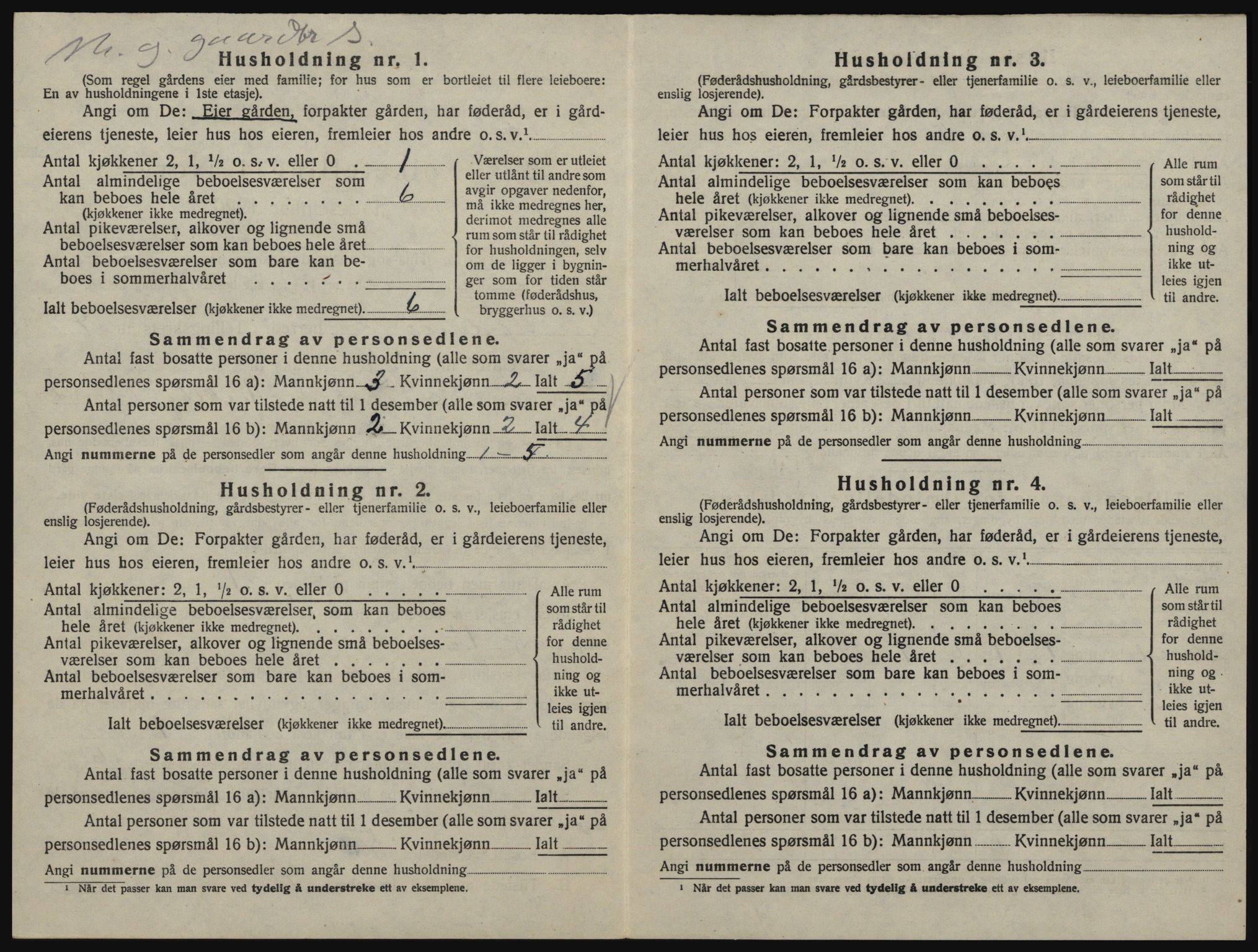 SAO, 1920 census for Rødenes, 1920, p. 391