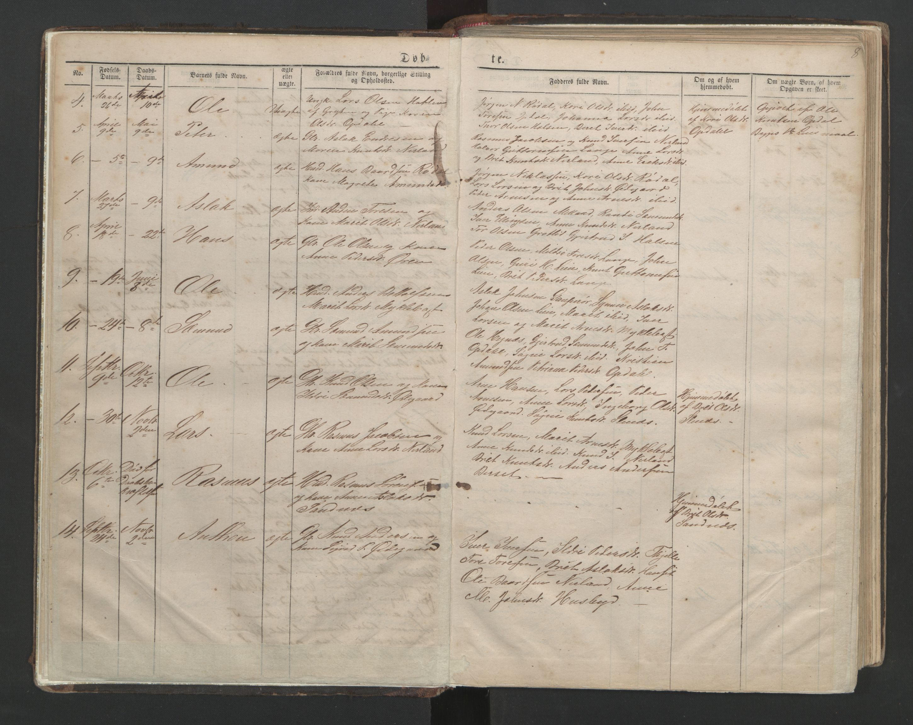 Ministerialprotokoller, klokkerbøker og fødselsregistre - Møre og Romsdal, AV/SAT-A-1454/554/L0645: Parish register (copy) no. 554C02, 1867-1946, p. 8