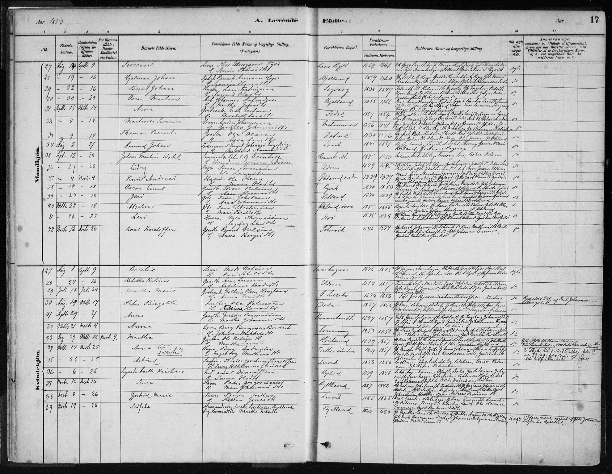 Stord sokneprestembete, AV/SAB-A-78201/H/Haa: Parish register (official) no. B 2, 1878-1913, p. 17