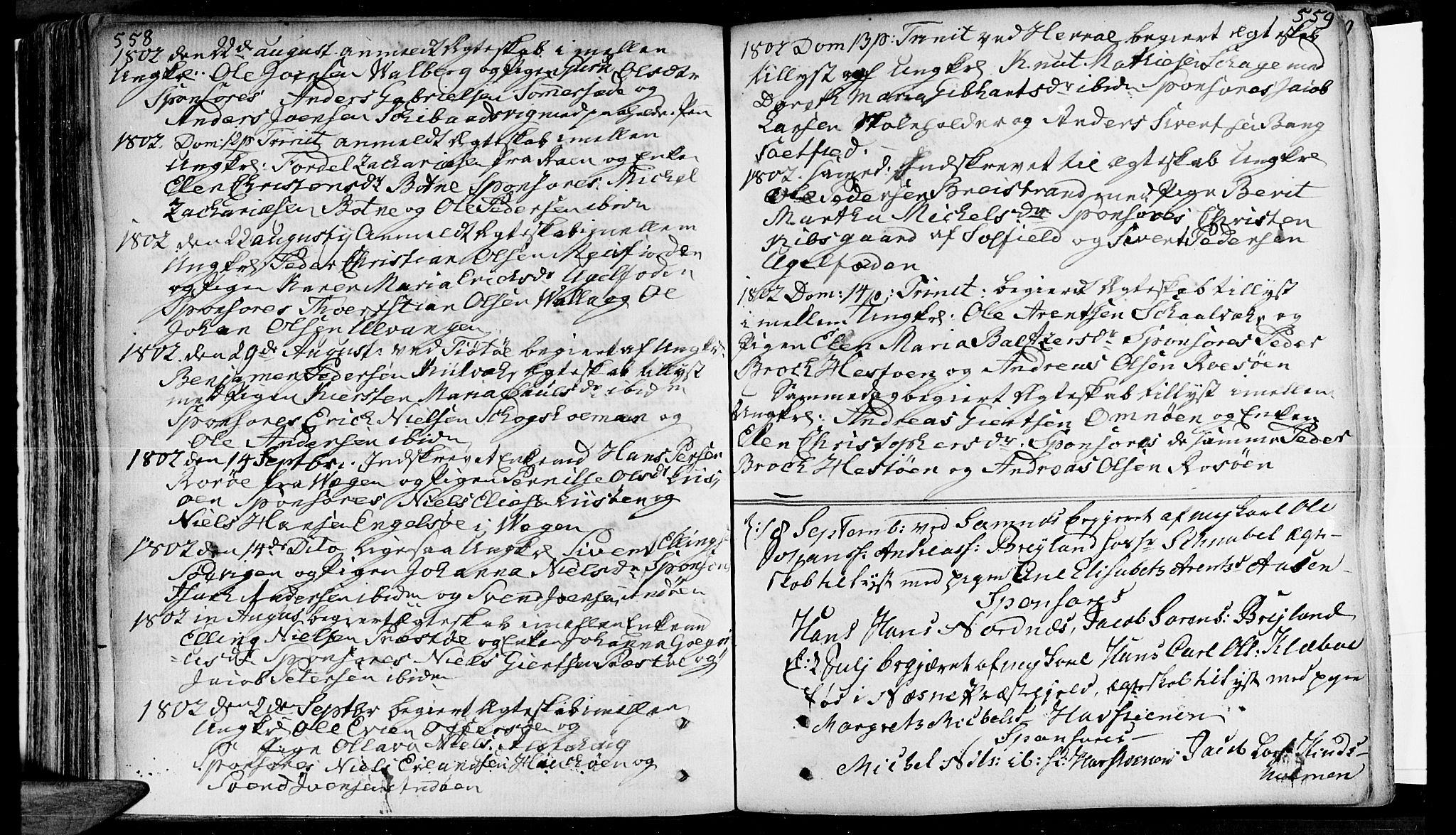 Ministerialprotokoller, klokkerbøker og fødselsregistre - Nordland, AV/SAT-A-1459/830/L0436: Parish register (official) no. 830A05 /1, 1737-1804, p. 558-559