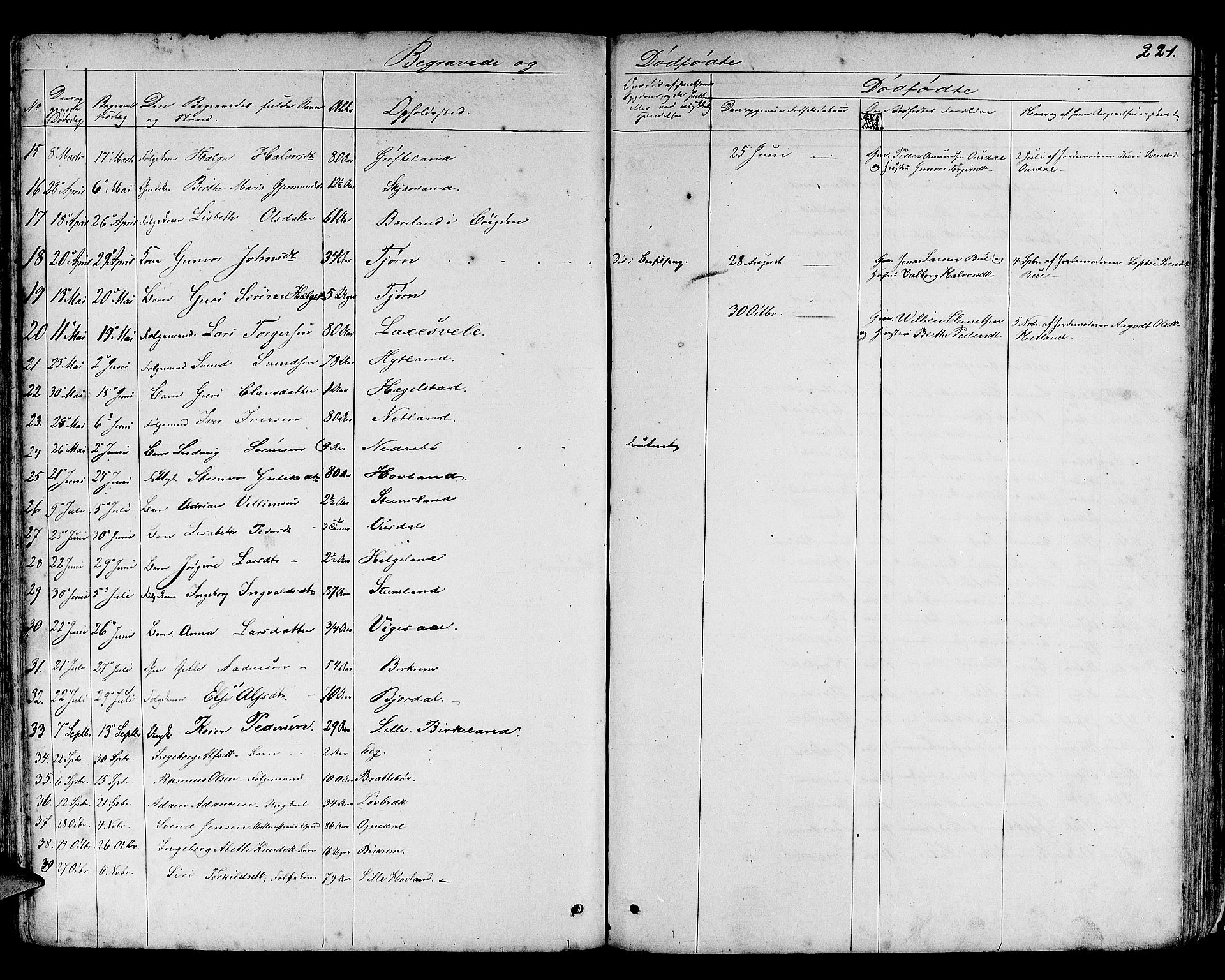 Helleland sokneprestkontor, AV/SAST-A-101810: Parish register (copy) no. B 3, 1847-1886, p. 221