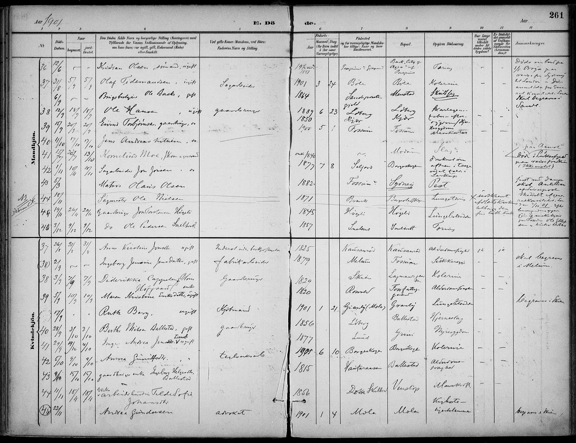 Gjerpen kirkebøker, SAKO/A-265/F/Fa/L0011: Parish register (official) no. I 11, 1896-1904, p. 261