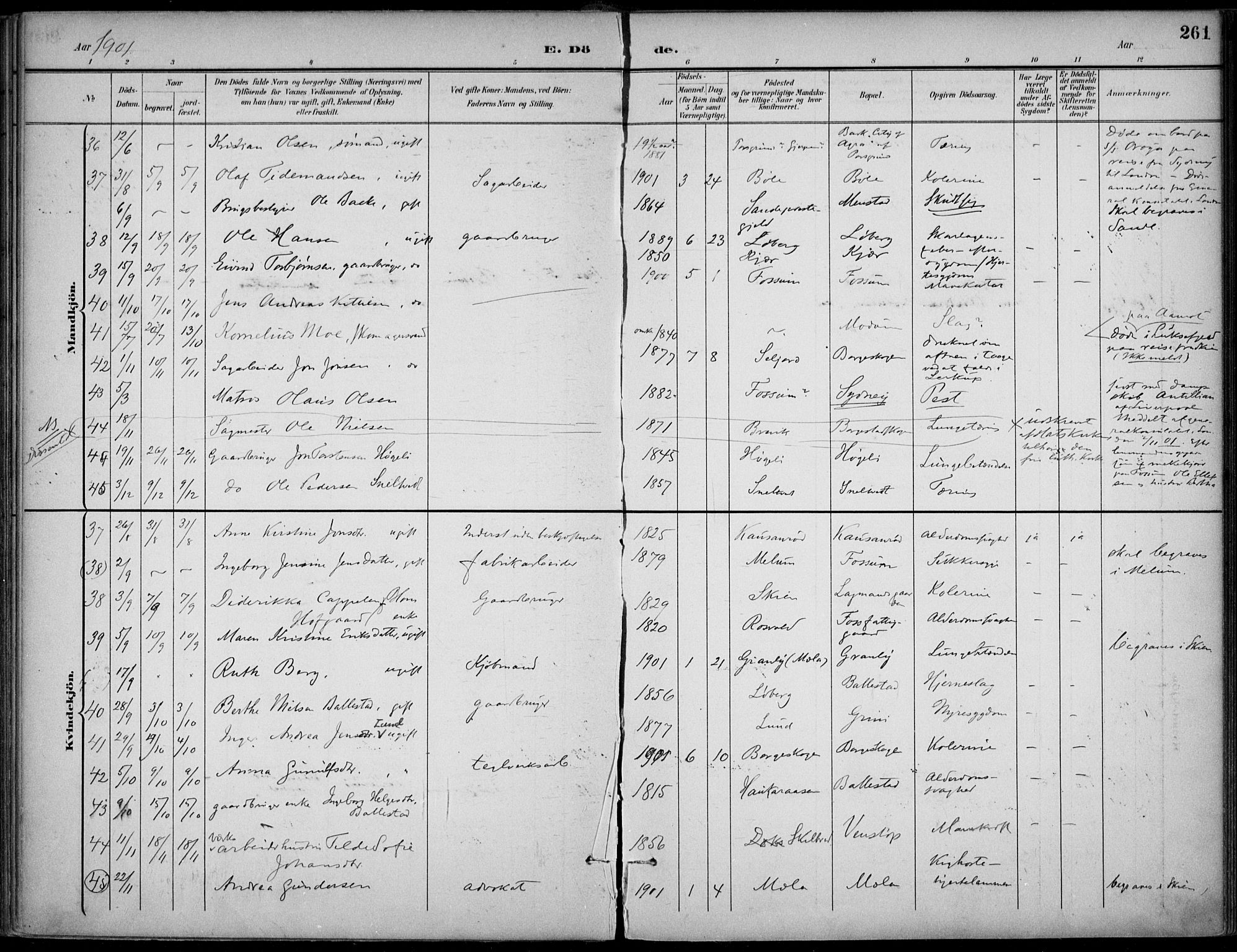 Gjerpen kirkebøker, AV/SAKO-A-265/F/Fa/L0011: Parish register (official) no. I 11, 1896-1904, p. 261