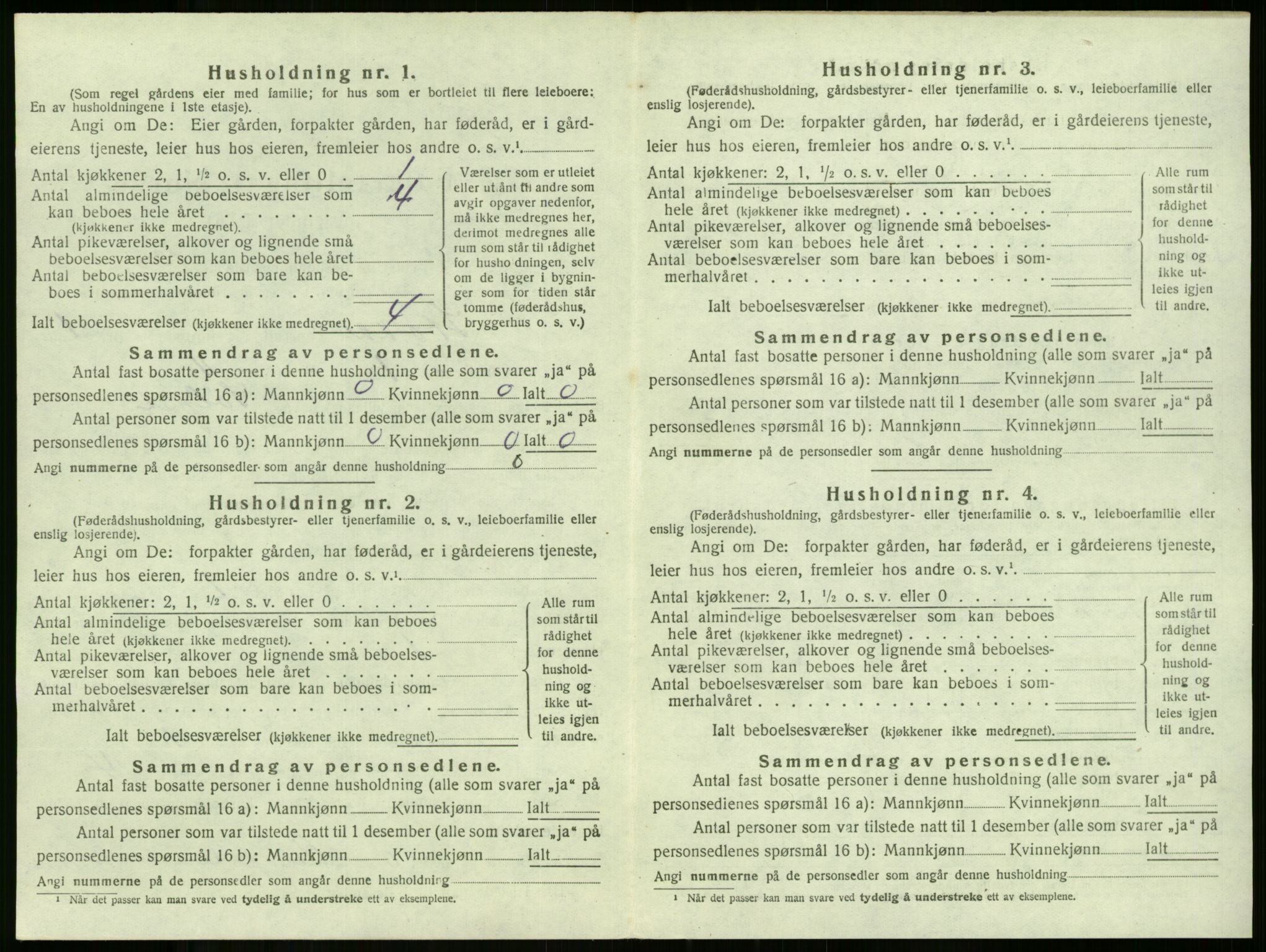 SAKO, 1920 census for Stokke, 1920, p. 250