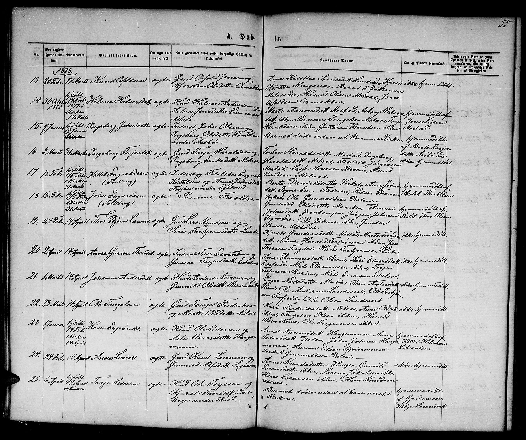 Gjerstad sokneprestkontor, AV/SAK-1111-0014/F/Fb/Fba/L0006: Parish register (copy) no. B 6, 1868-1890, p. 55