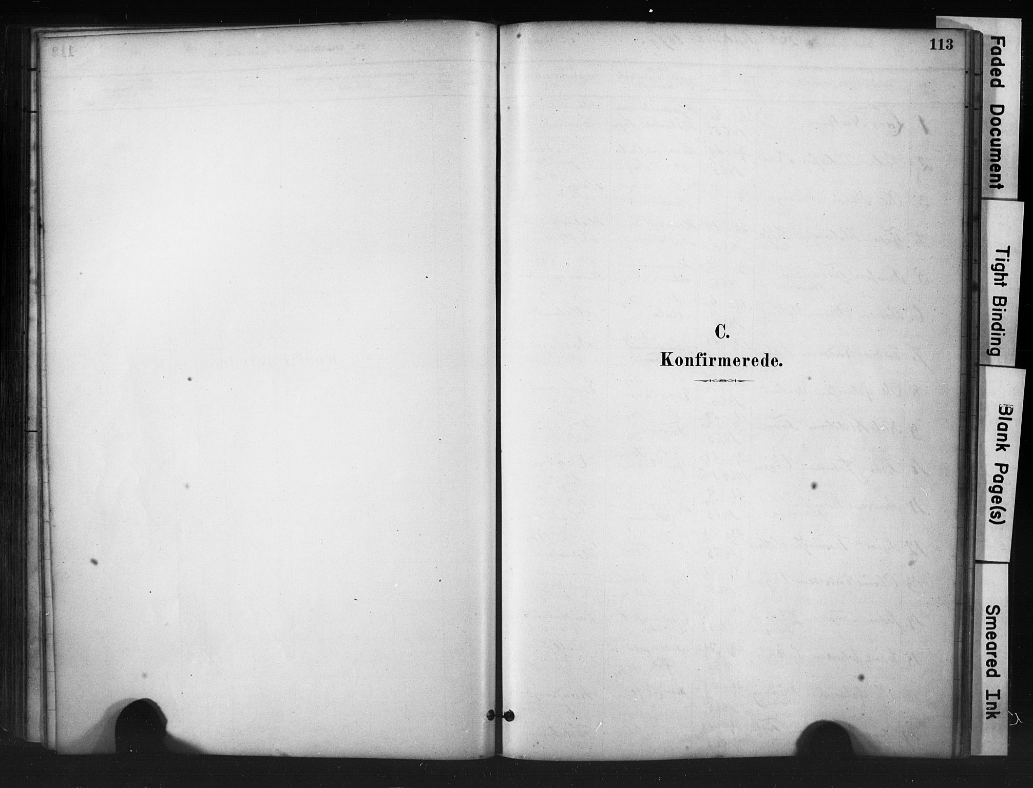 Hjelmeland sokneprestkontor, AV/SAST-A-101843/01/IV/L0014: Parish register (official) no. A 14, 1879-1900, p. 113