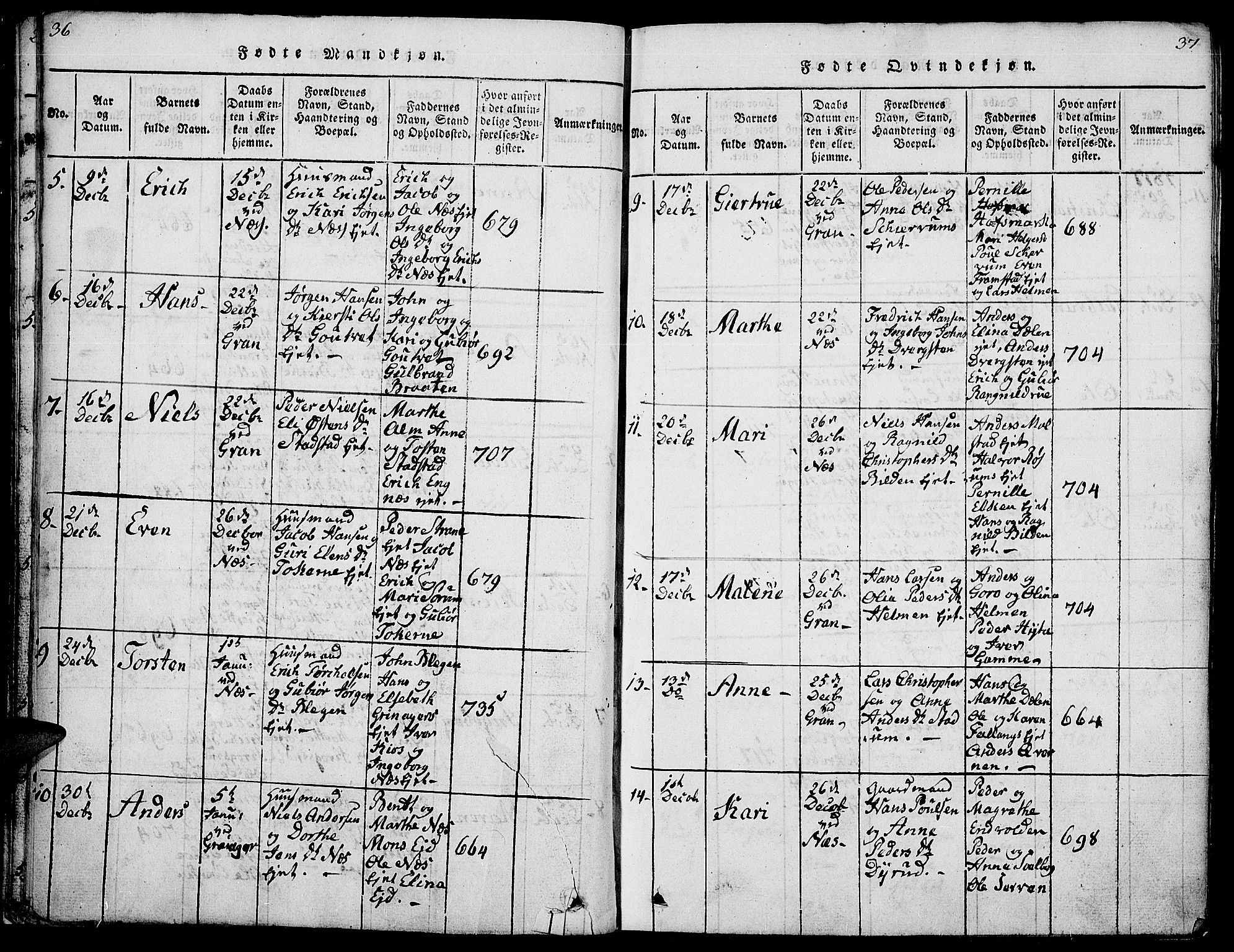 Gran prestekontor, SAH/PREST-112/H/Ha/Hab/L0001: Parish register (copy) no. 1, 1815-1824, p. 36-37