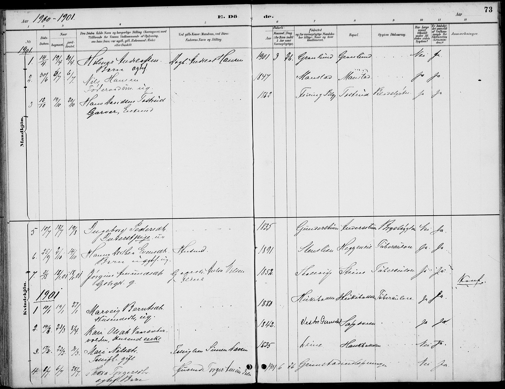 Østre Gausdal prestekontor, SAH/PREST-092/H/Ha/Haa/L0003: Parish register (official) no. 3, 1887-1901, p. 73