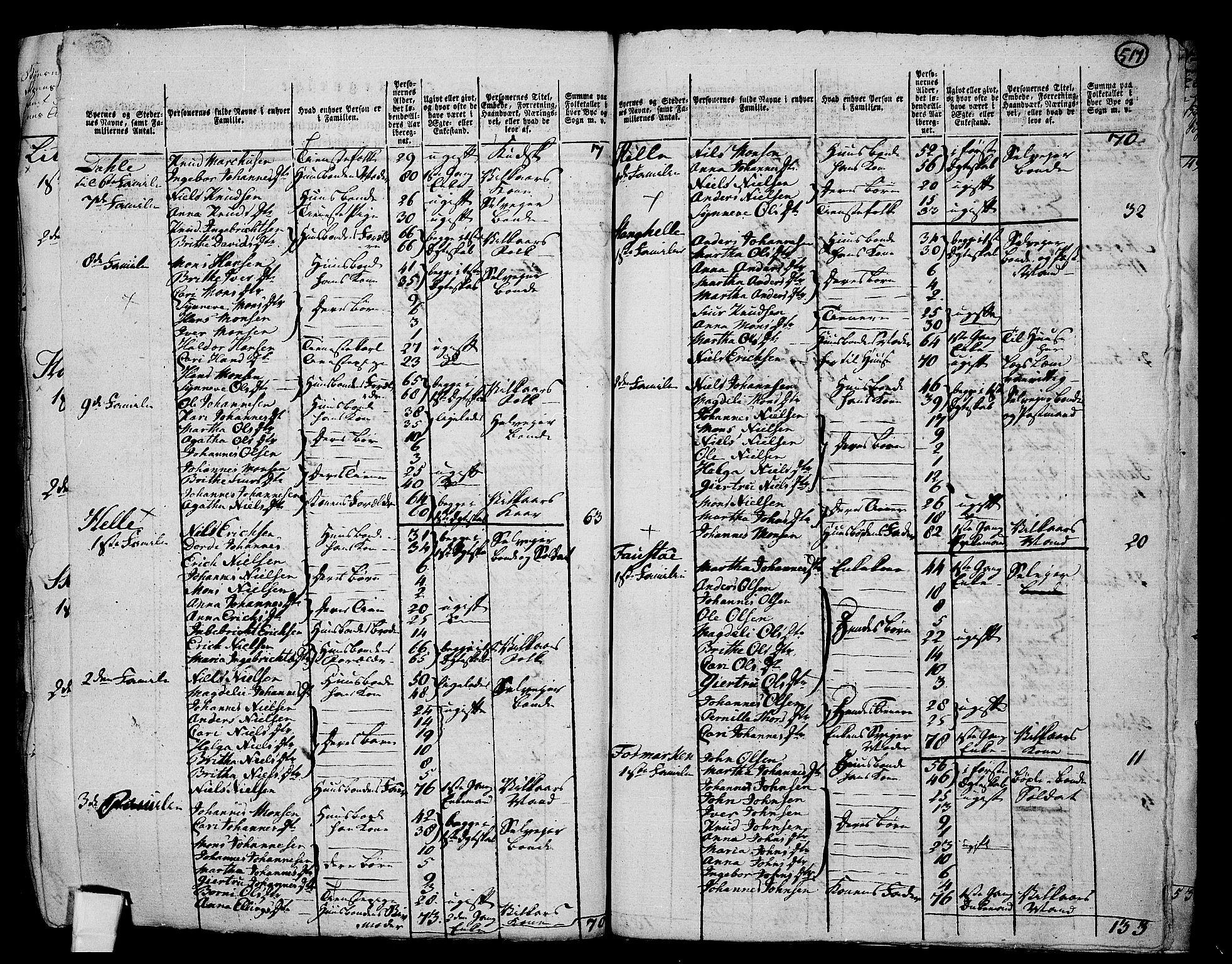 RA, 1801 census for 1250P Haus, 1801, p. 516b-517a