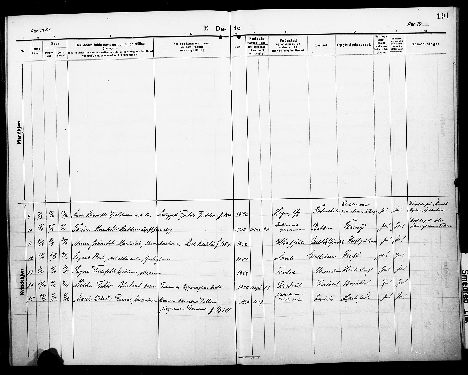 Åmli sokneprestkontor, AV/SAK-1111-0050/F/Fb/Fbc/L0006: Parish register (copy) no. B 6, 1915-1929, p. 191