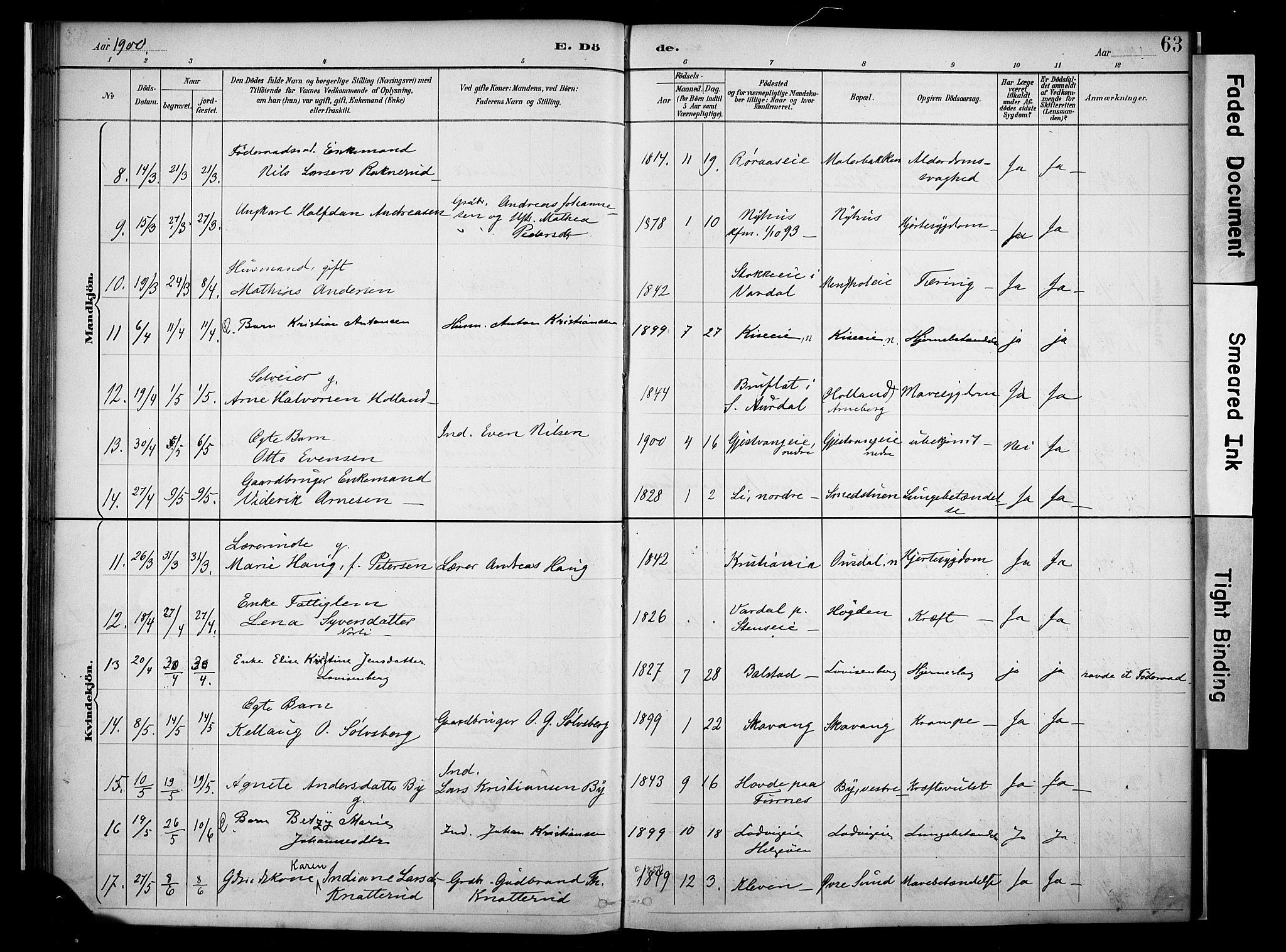 Nes prestekontor, Hedmark, SAH/PREST-020/K/Ka/L0011: Parish register (official) no. 11, 1887-1905, p. 63