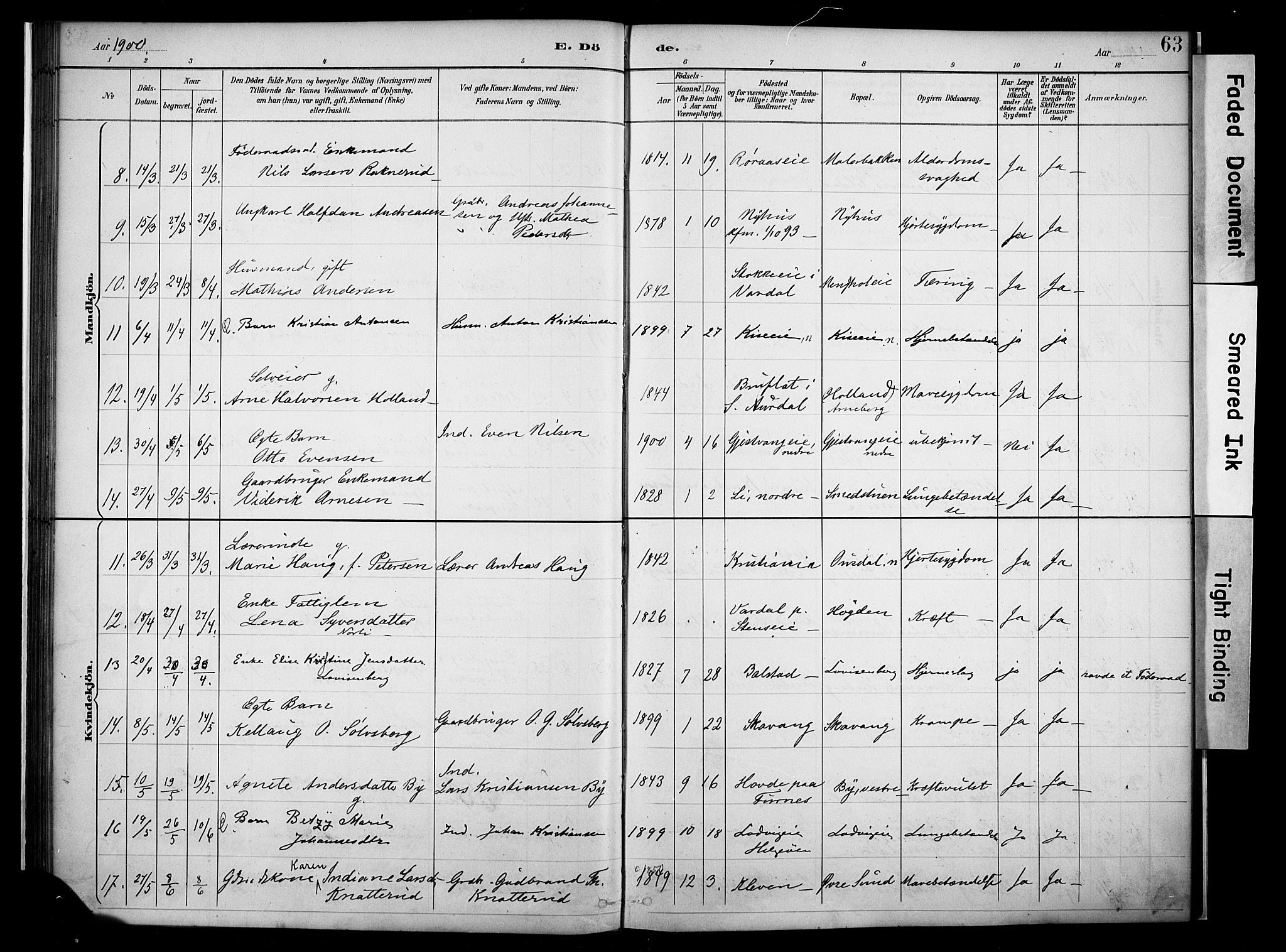 Nes prestekontor, Hedmark, AV/SAH-PREST-020/K/Ka/L0011: Parish register (official) no. 11, 1887-1905, p. 63