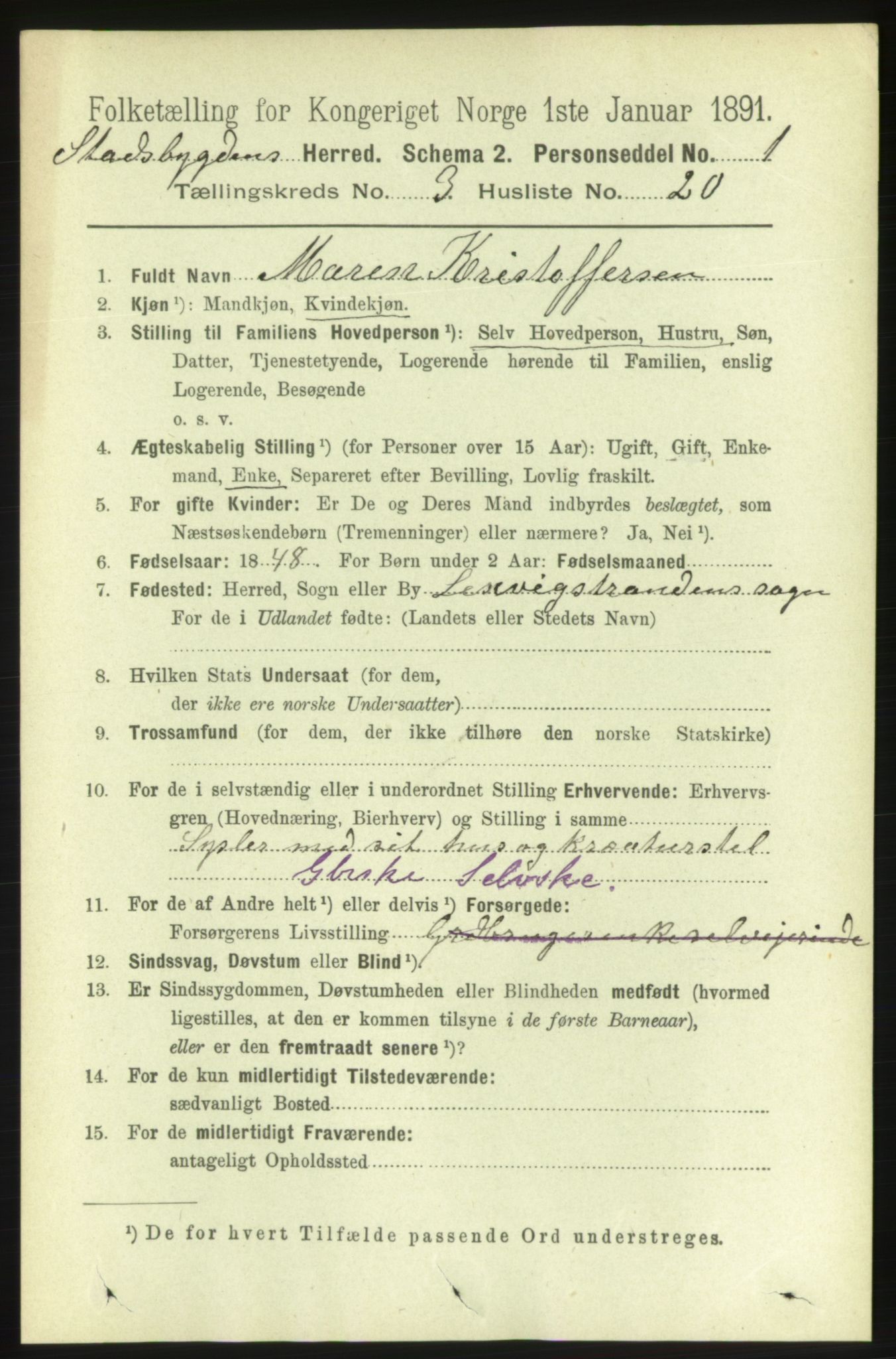 RA, 1891 census for 1625 Stadsbygd, 1891, p. 1481