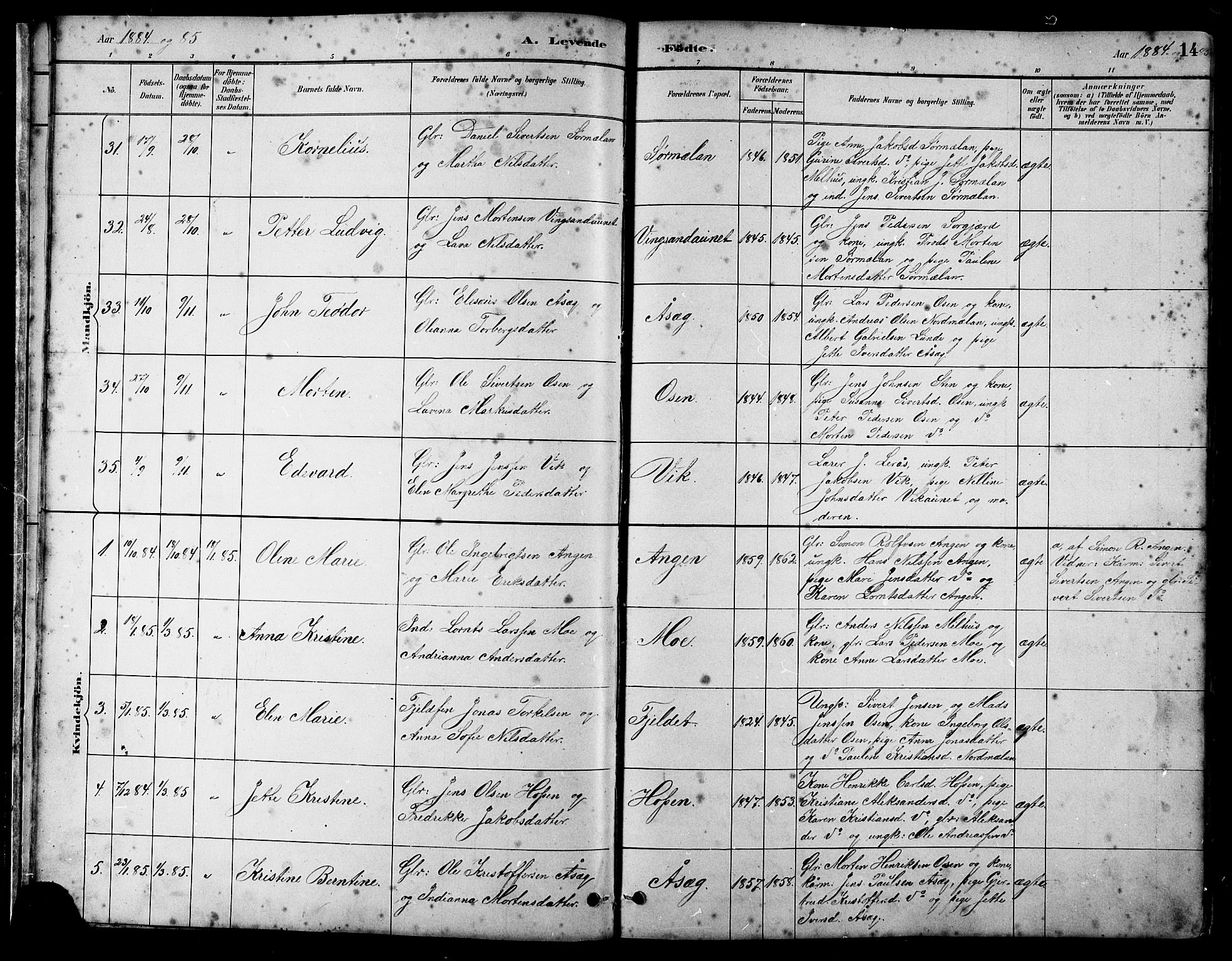 Ministerialprotokoller, klokkerbøker og fødselsregistre - Sør-Trøndelag, SAT/A-1456/658/L0726: Parish register (copy) no. 658C02, 1883-1908, p. 14