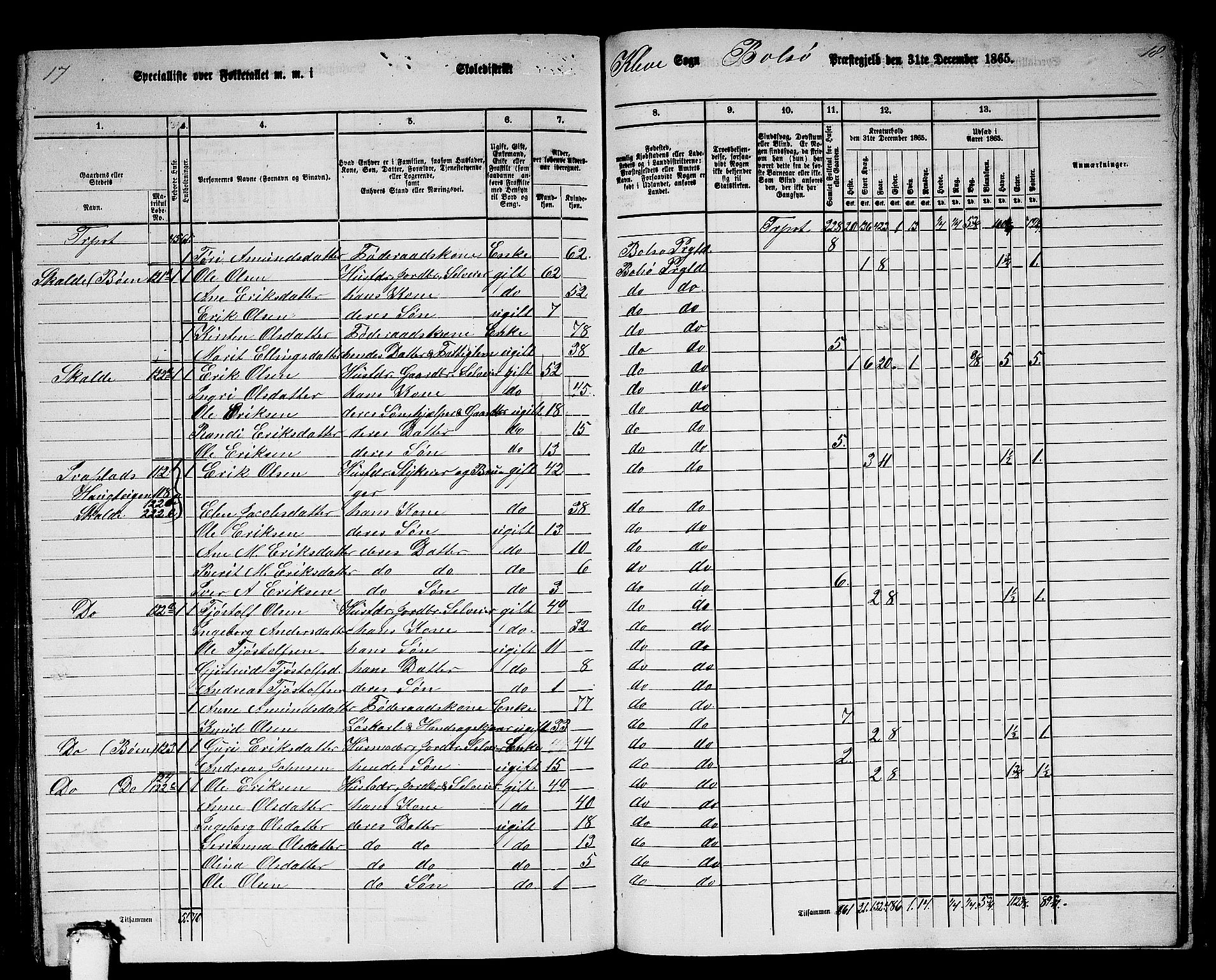 RA, 1865 census for Bolsøy, 1865, p. 106