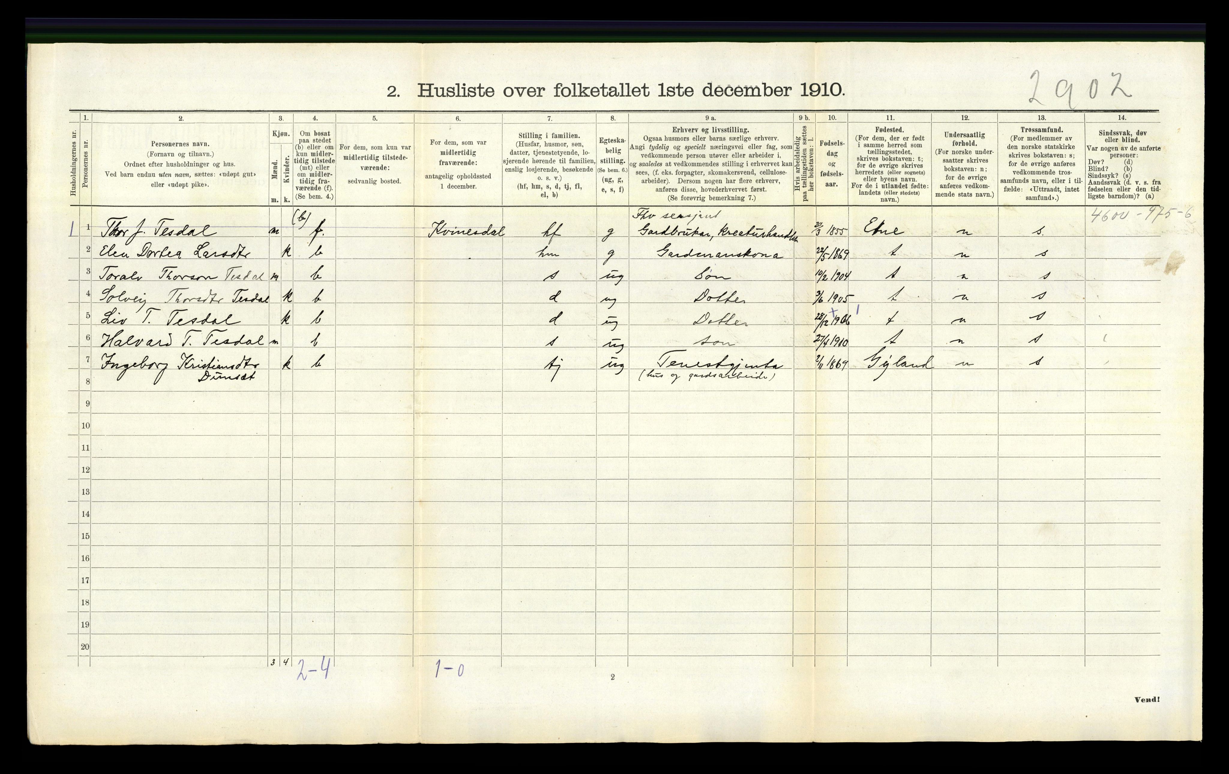 RA, 1910 census for Nes, 1910, p. 202