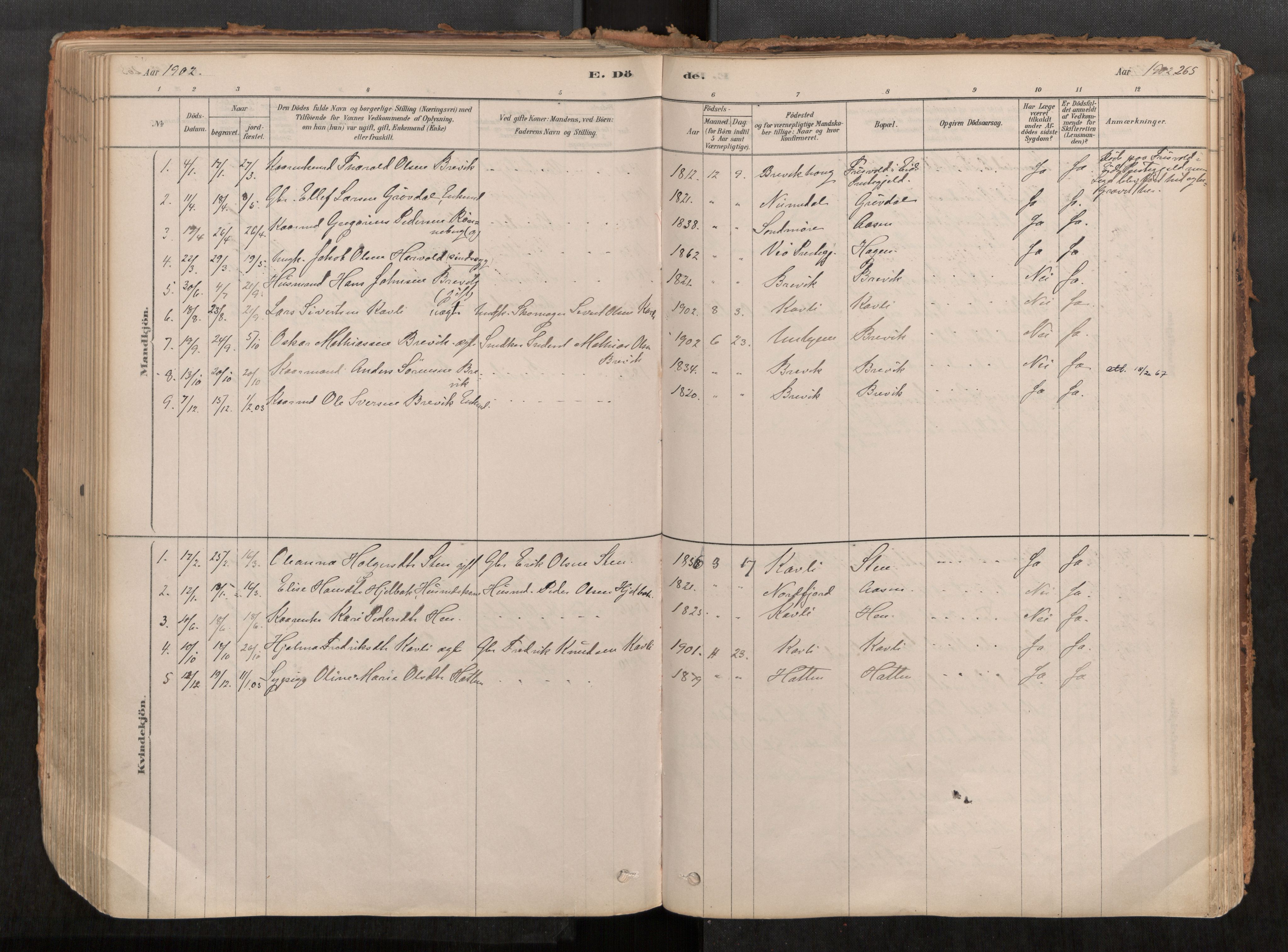 Ministerialprotokoller, klokkerbøker og fødselsregistre - Møre og Romsdal, AV/SAT-A-1454/545/L0594: Parish register (official) no. 545A03, 1878-1920, p. 265