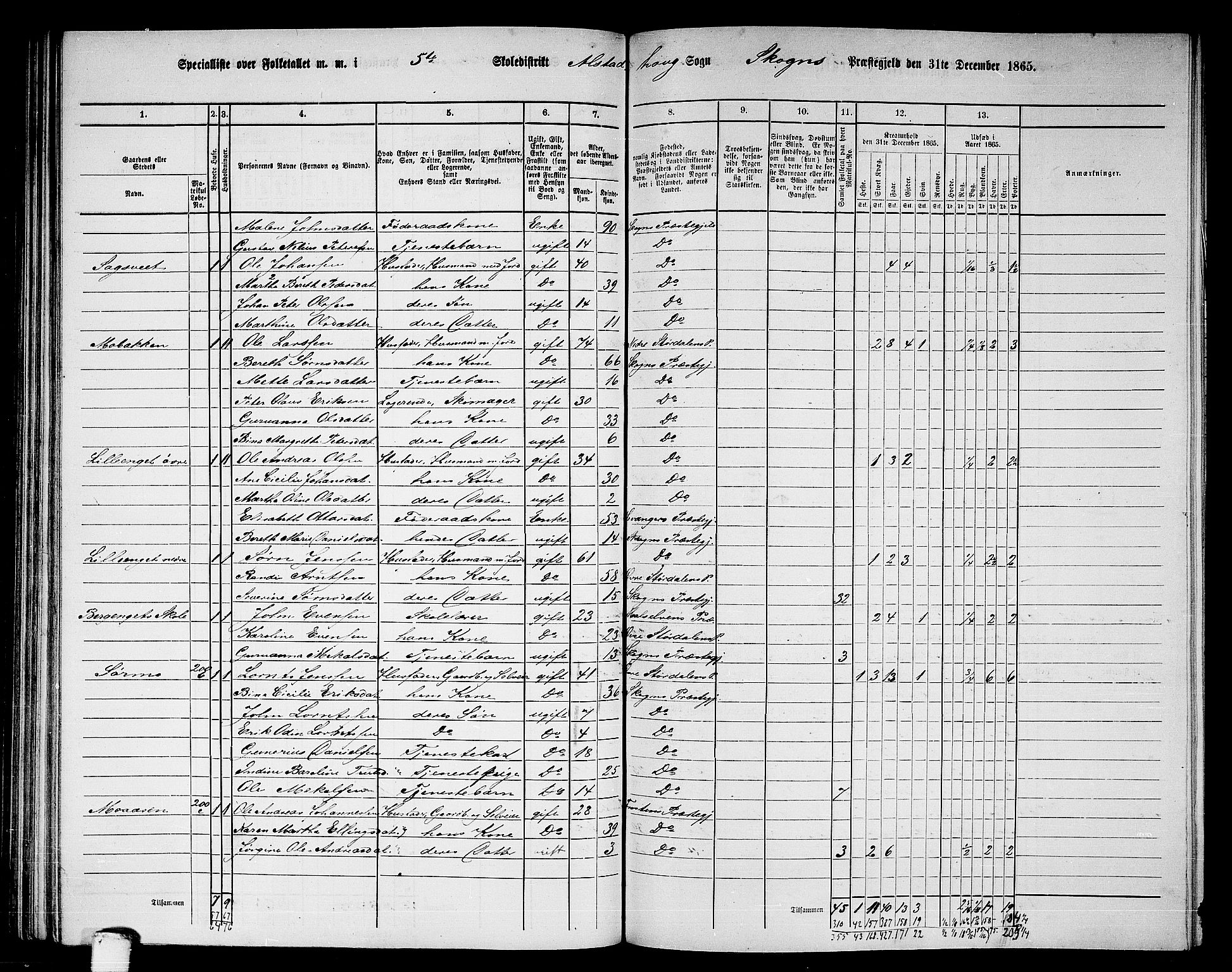 RA, 1865 census for Skogn, 1865, p. 127