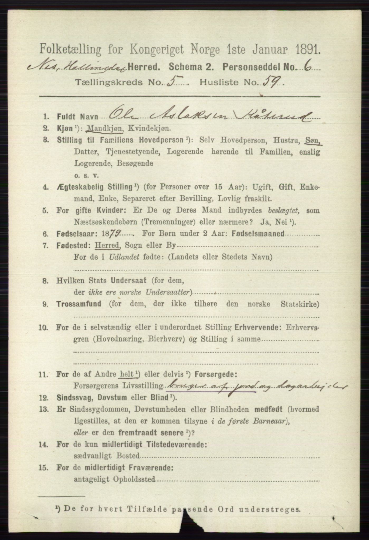 RA, 1891 census for 0616 Nes, 1891, p. 2937