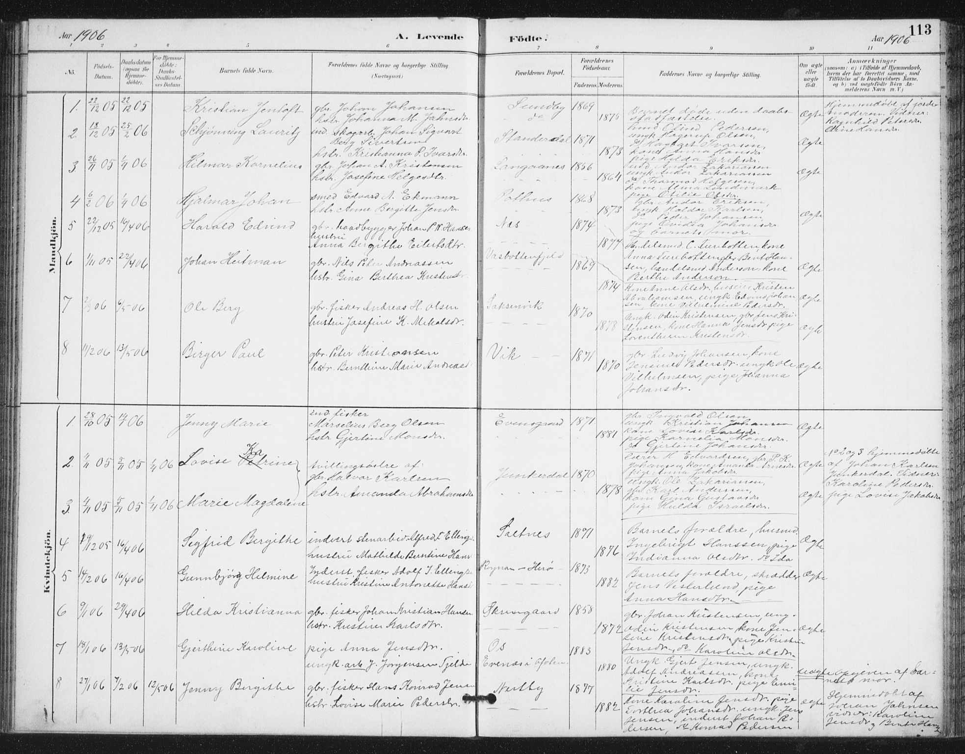 Ministerialprotokoller, klokkerbøker og fødselsregistre - Nordland, AV/SAT-A-1459/847/L0682: Parish register (copy) no. 847C10, 1889-1907, p. 113