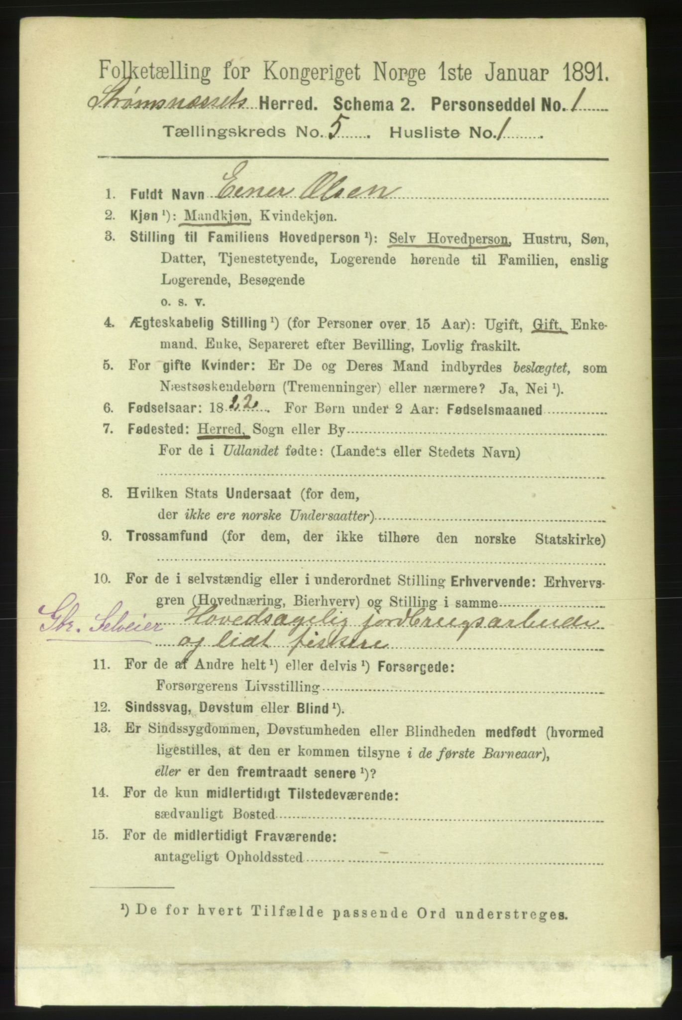 RA, 1891 census for 1559 Straumsnes, 1891, p. 1058