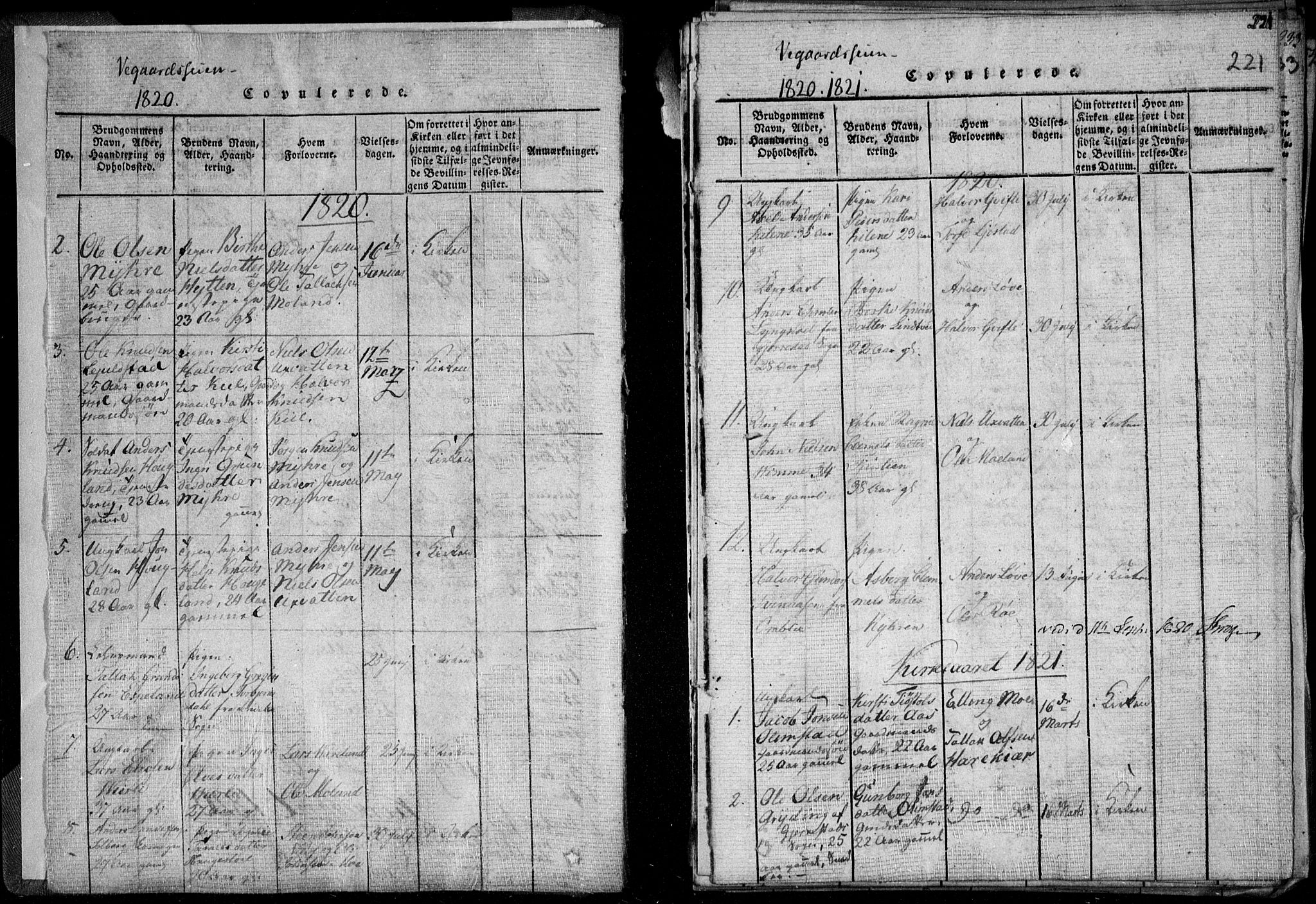 Holt sokneprestkontor, AV/SAK-1111-0021/F/Fa/L0005: Parish register (official) no. A 5, 1813-1821, p. 221