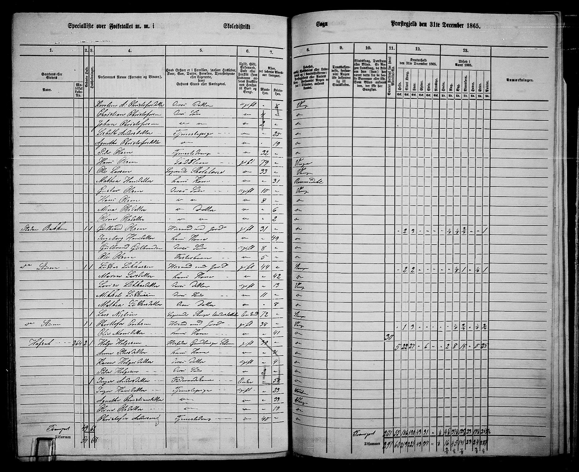 RA, 1865 census for Vang/Vang og Furnes, 1865, p. 303