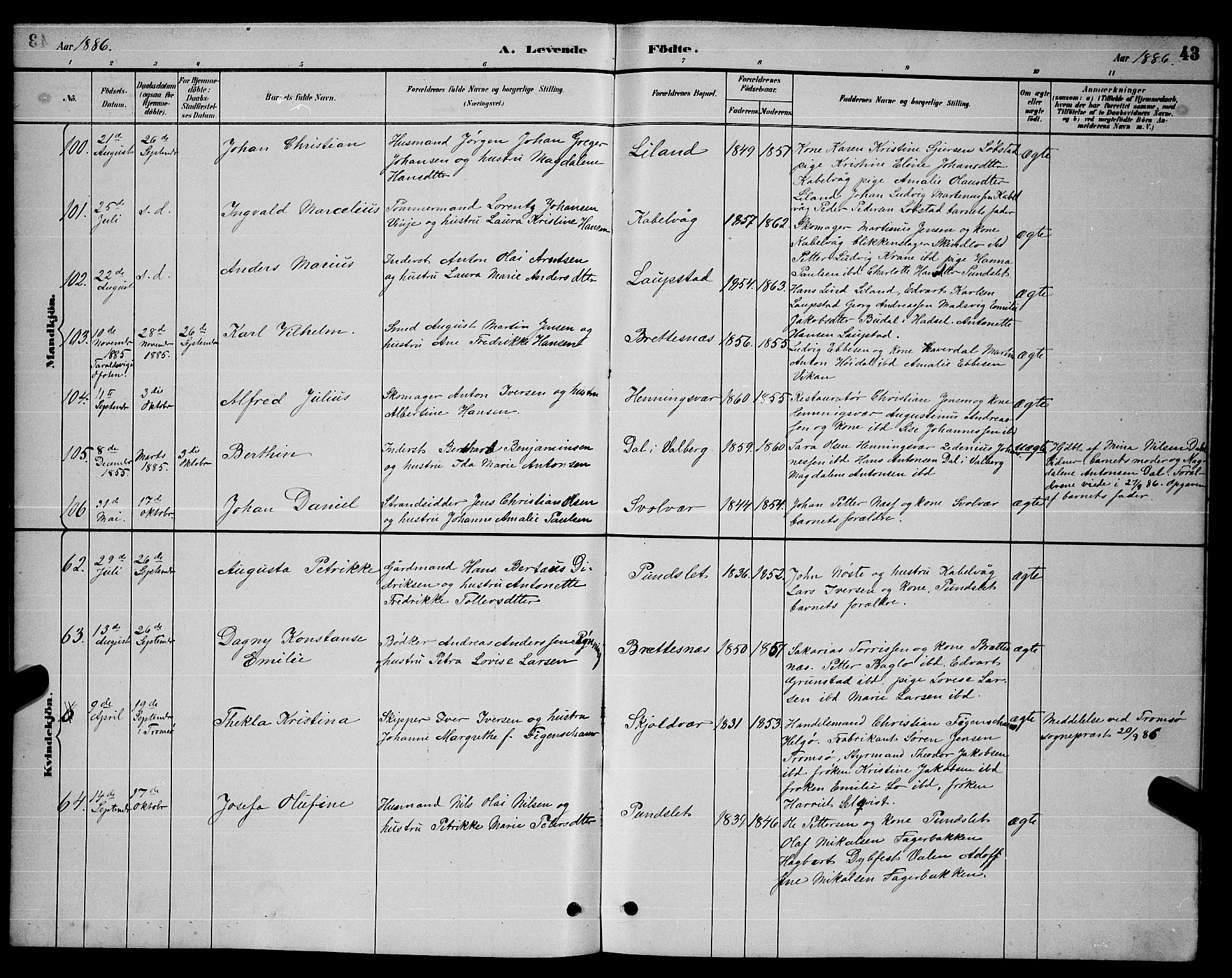 Ministerialprotokoller, klokkerbøker og fødselsregistre - Nordland, SAT/A-1459/874/L1076: Parish register (copy) no. 874C05, 1884-1890, p. 43