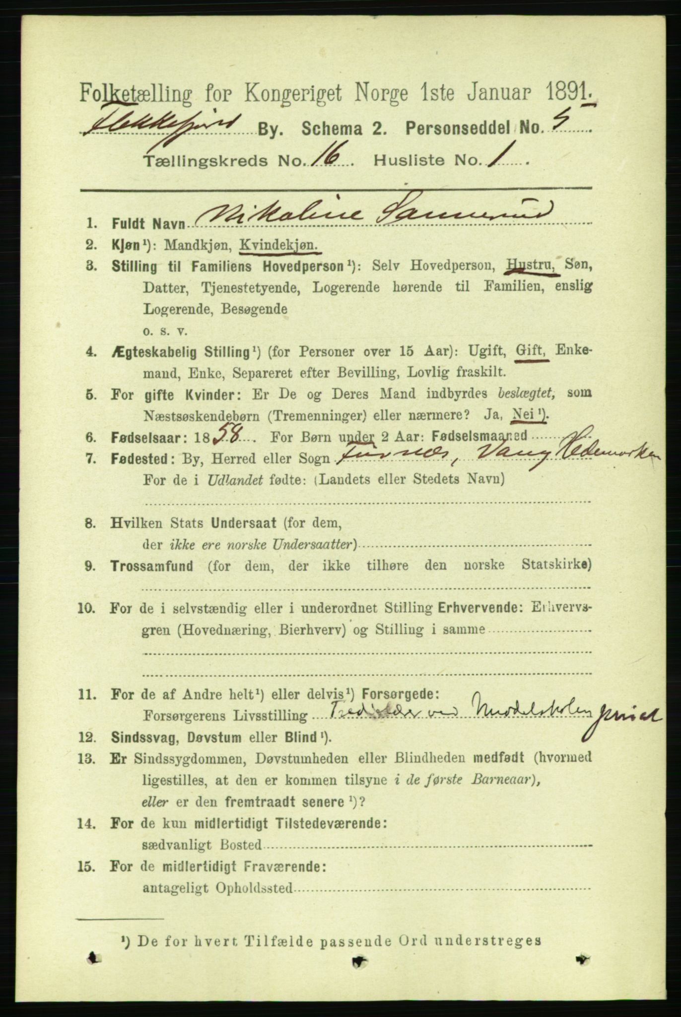 RA, 1891 census for 1004 Flekkefjord, 1891, p. 2005