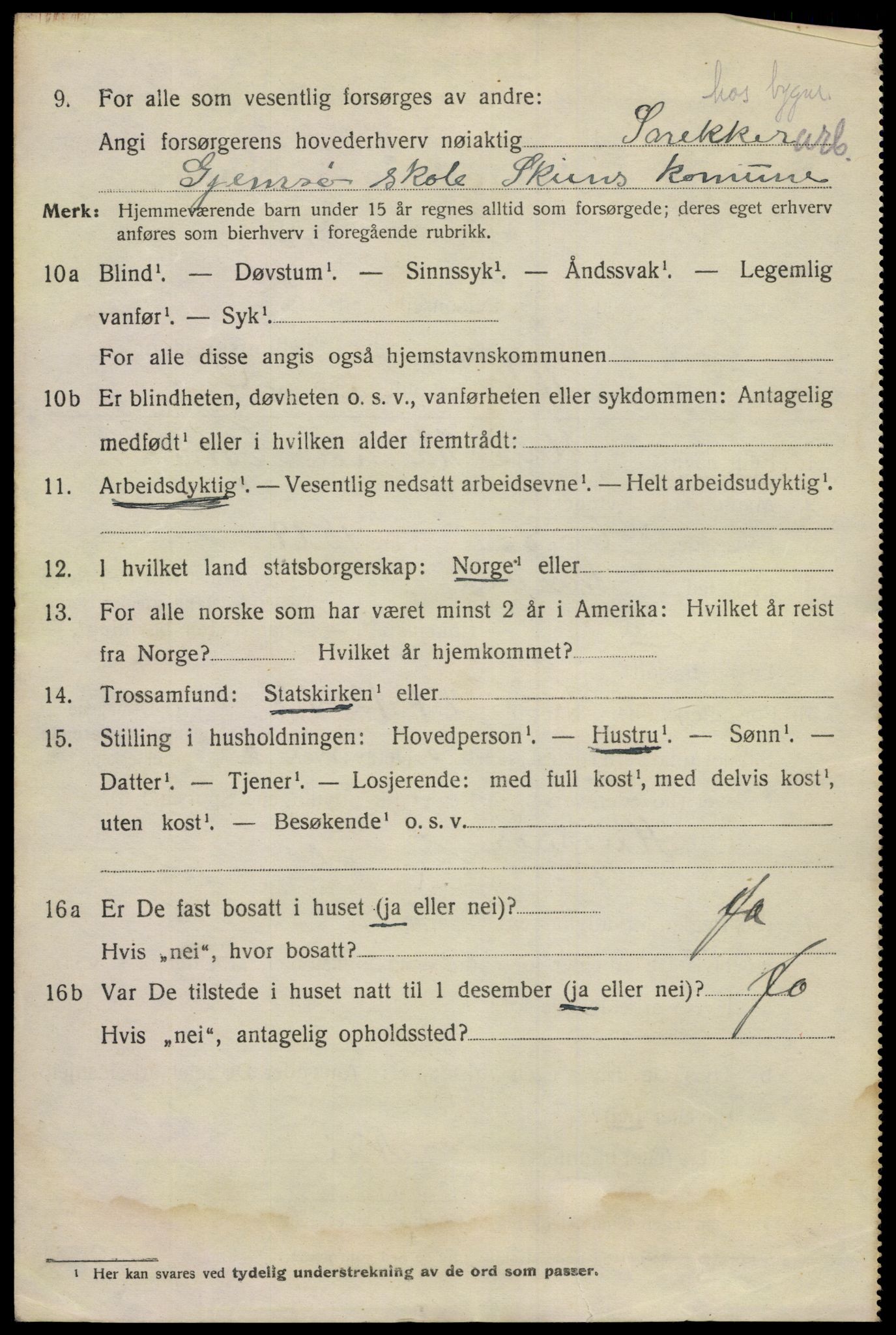 SAKO, 1920 census for Skien, 1920, p. 29607