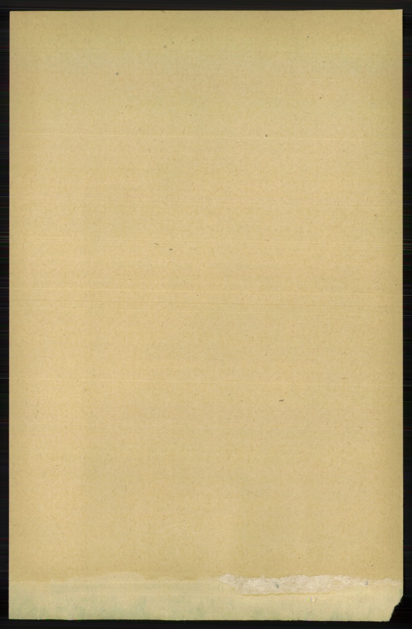 RA, 1891 census for 1129 Forsand, 1891, p. 201