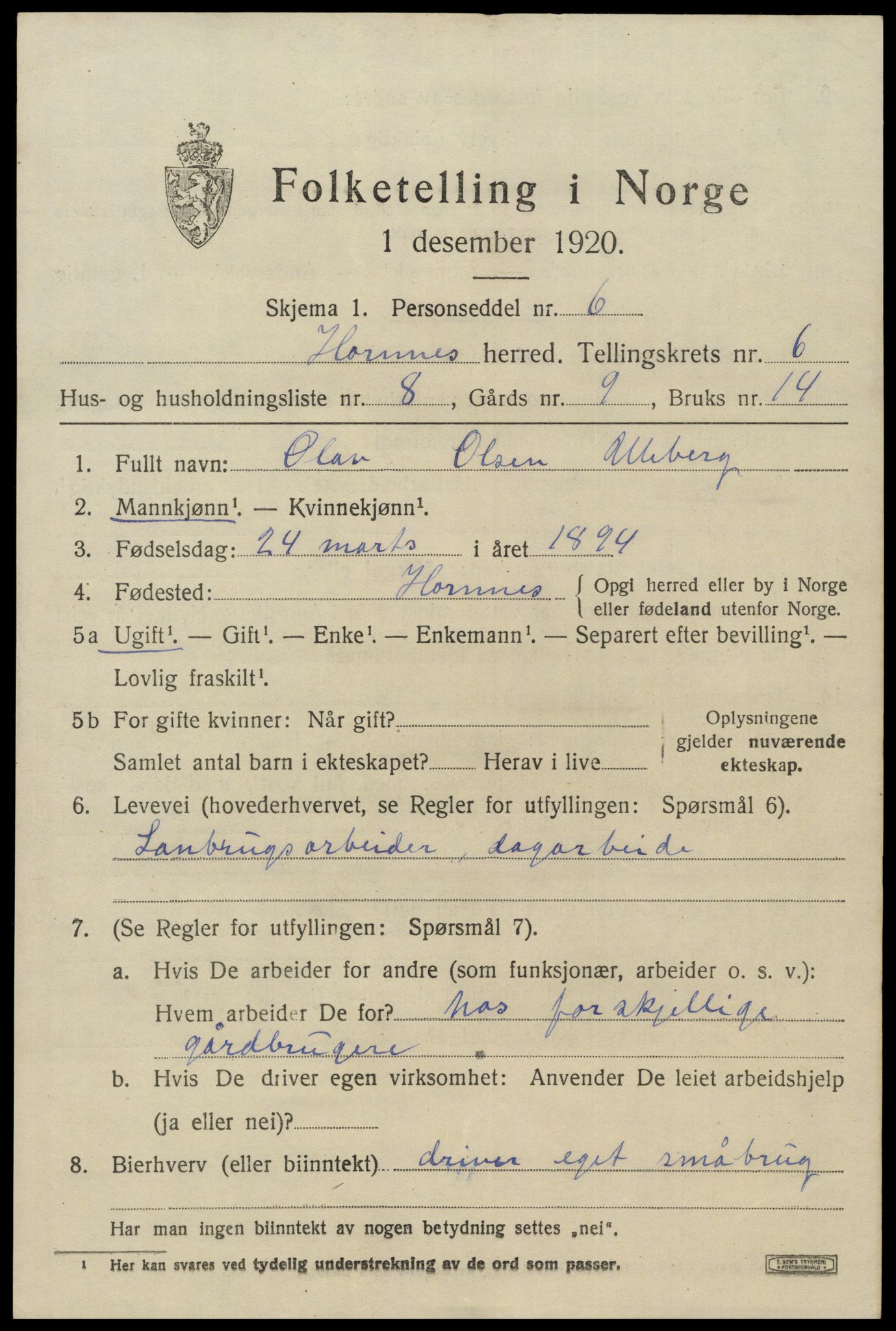 SAK, 1920 census for Hornnes, 1920, p. 1643